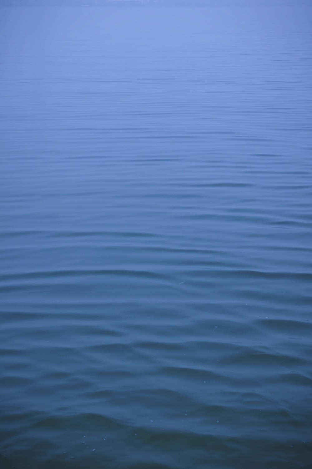 photo of body of water