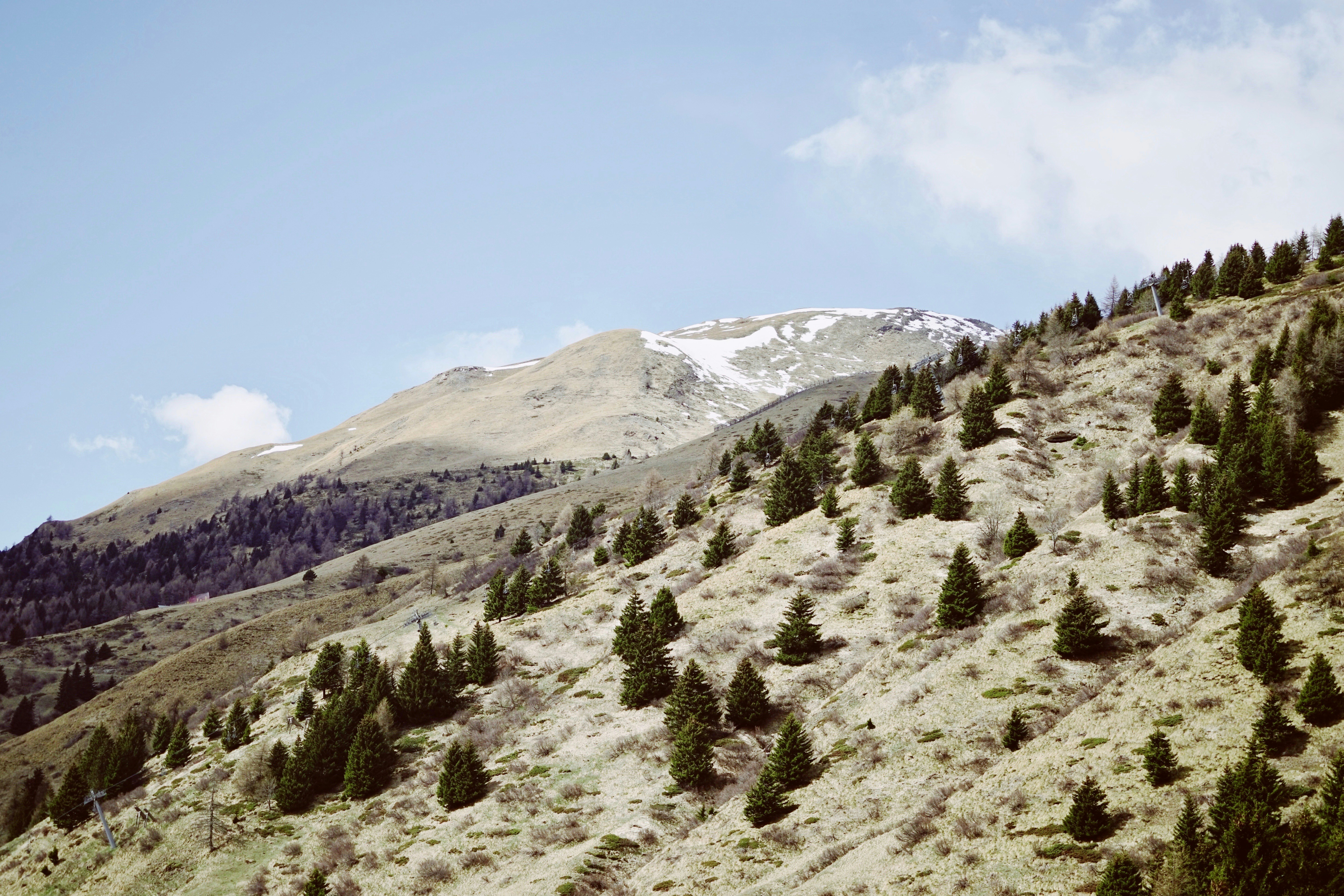 Free Unsplash photo from Andrzej Kryszpiniuk