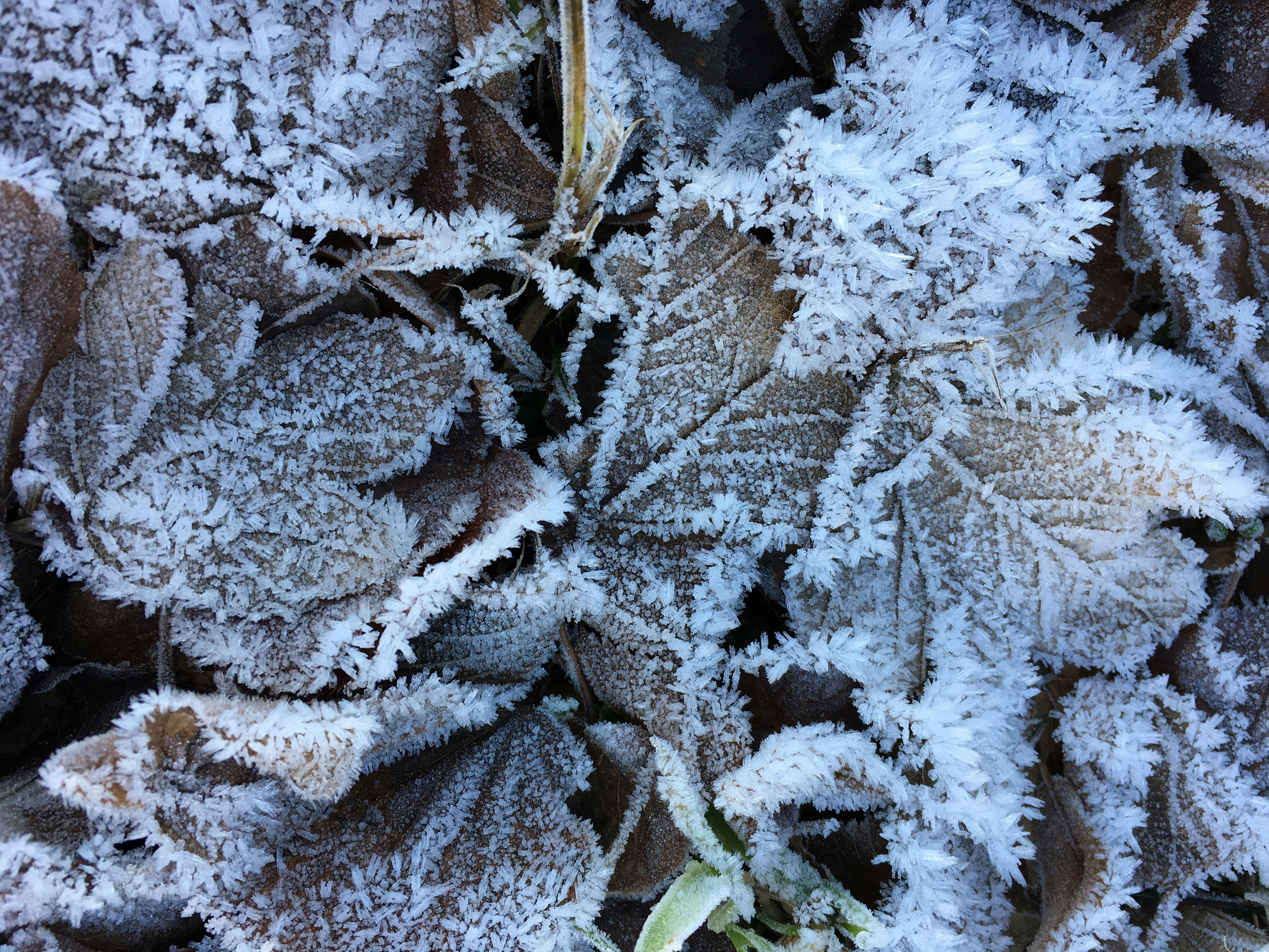 Free Unsplash photo from Hans Matthias