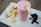 A creamy pink smoothie fills a glass, garnished with a dried apple slice. On a wooden board beside it, there are additional dried apple slices and a small pile of dark dried fruits, possibly berries.