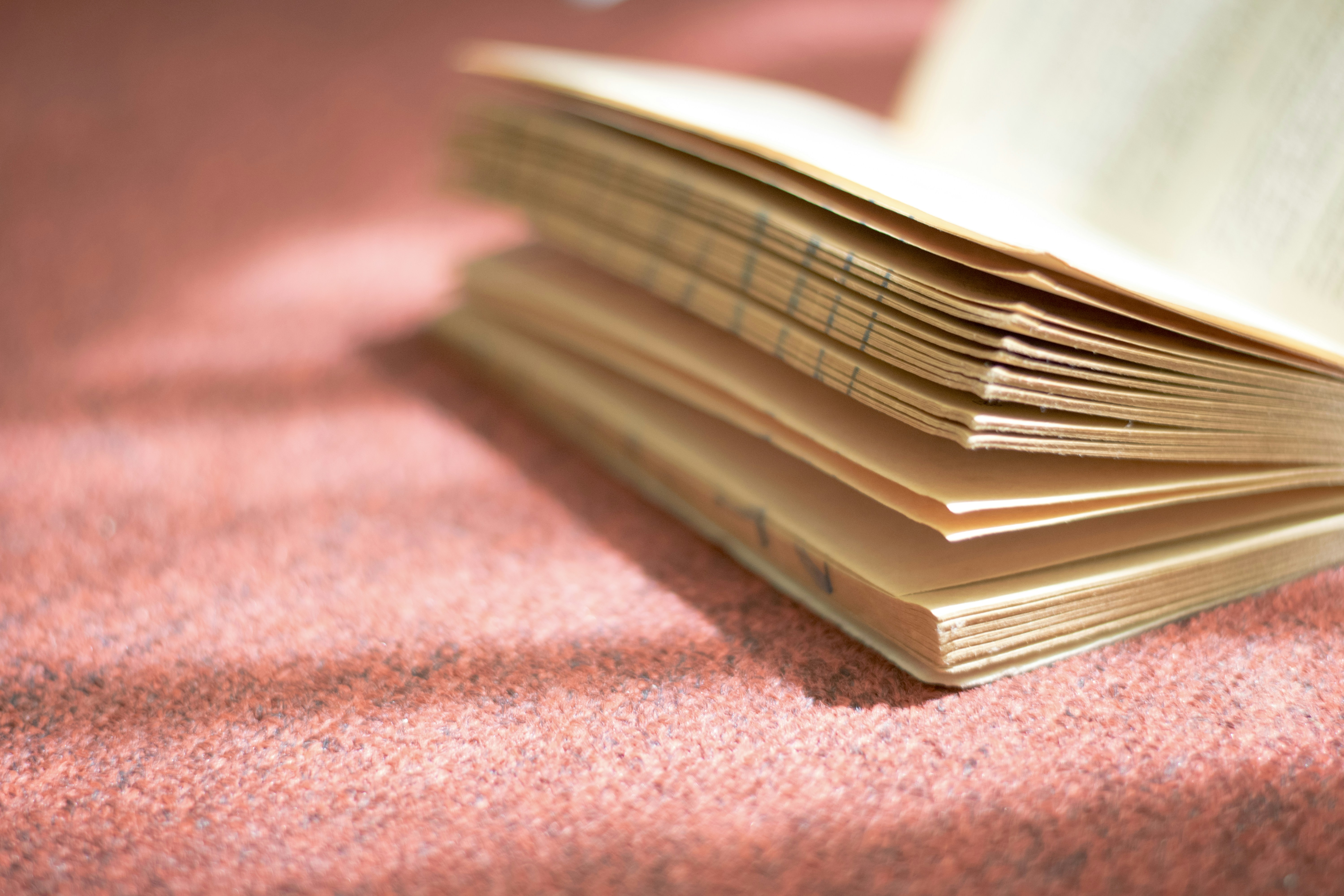 Free Unsplash photo from Kyle Gregory Devaras