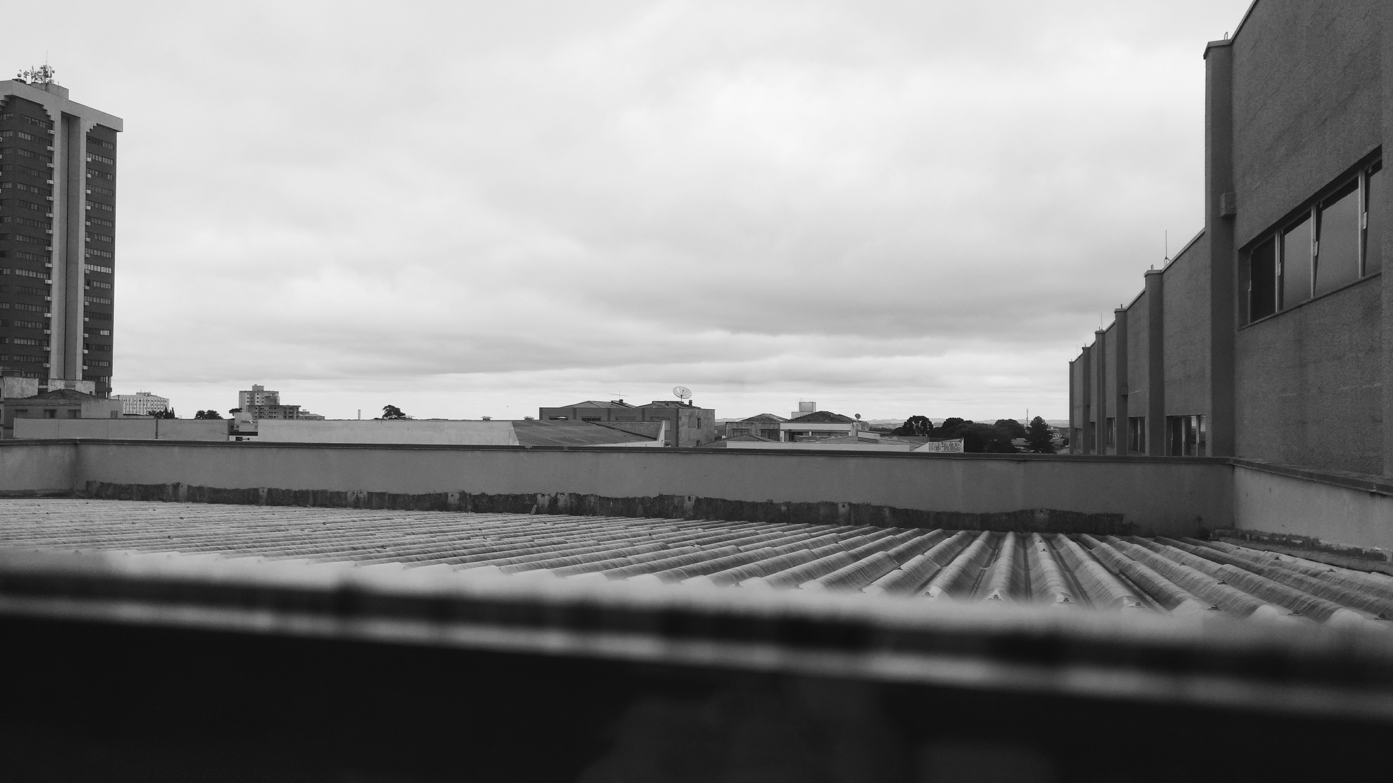 Free Unsplash photo from Lucas Gois