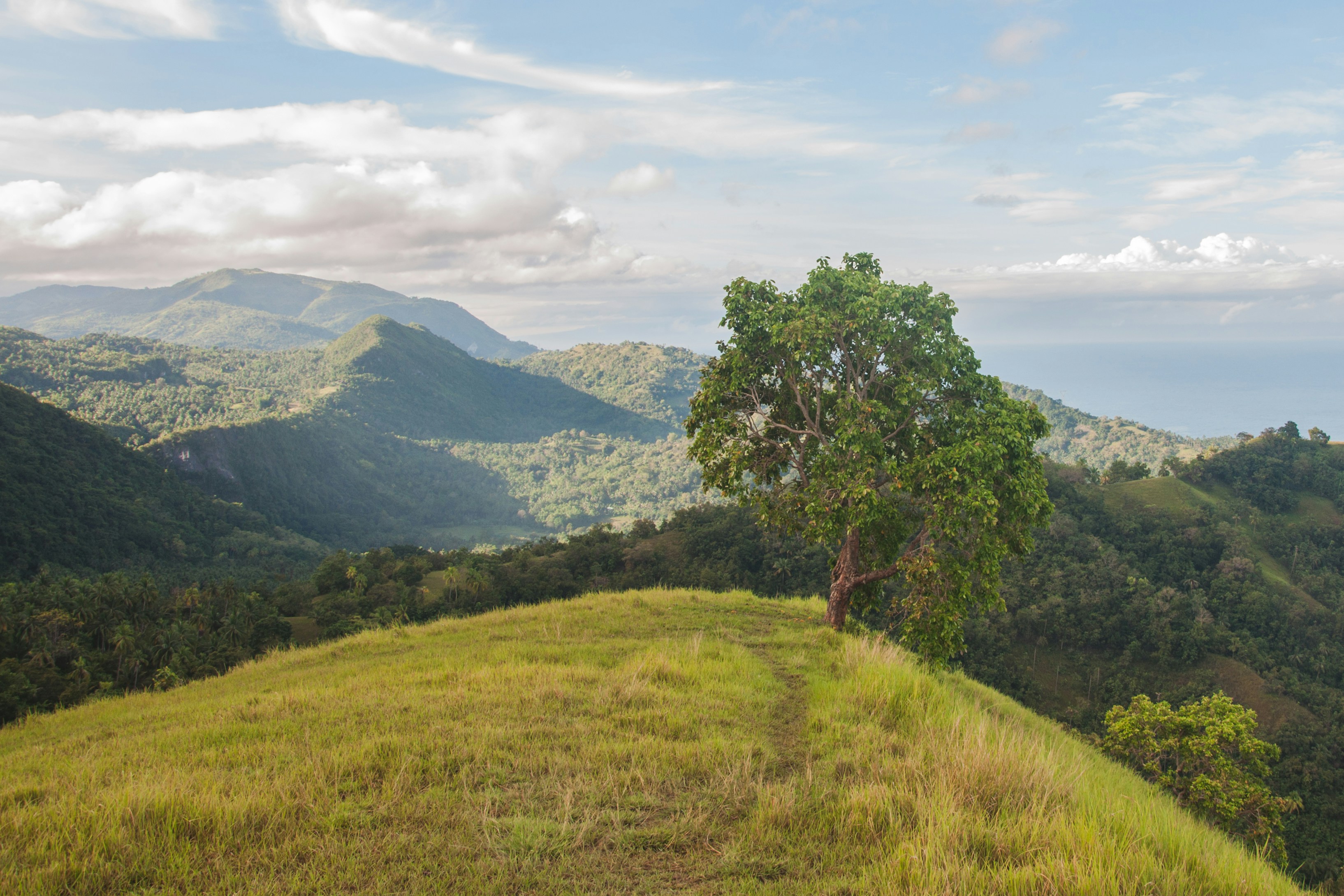 Free Unsplash photo from Ryan