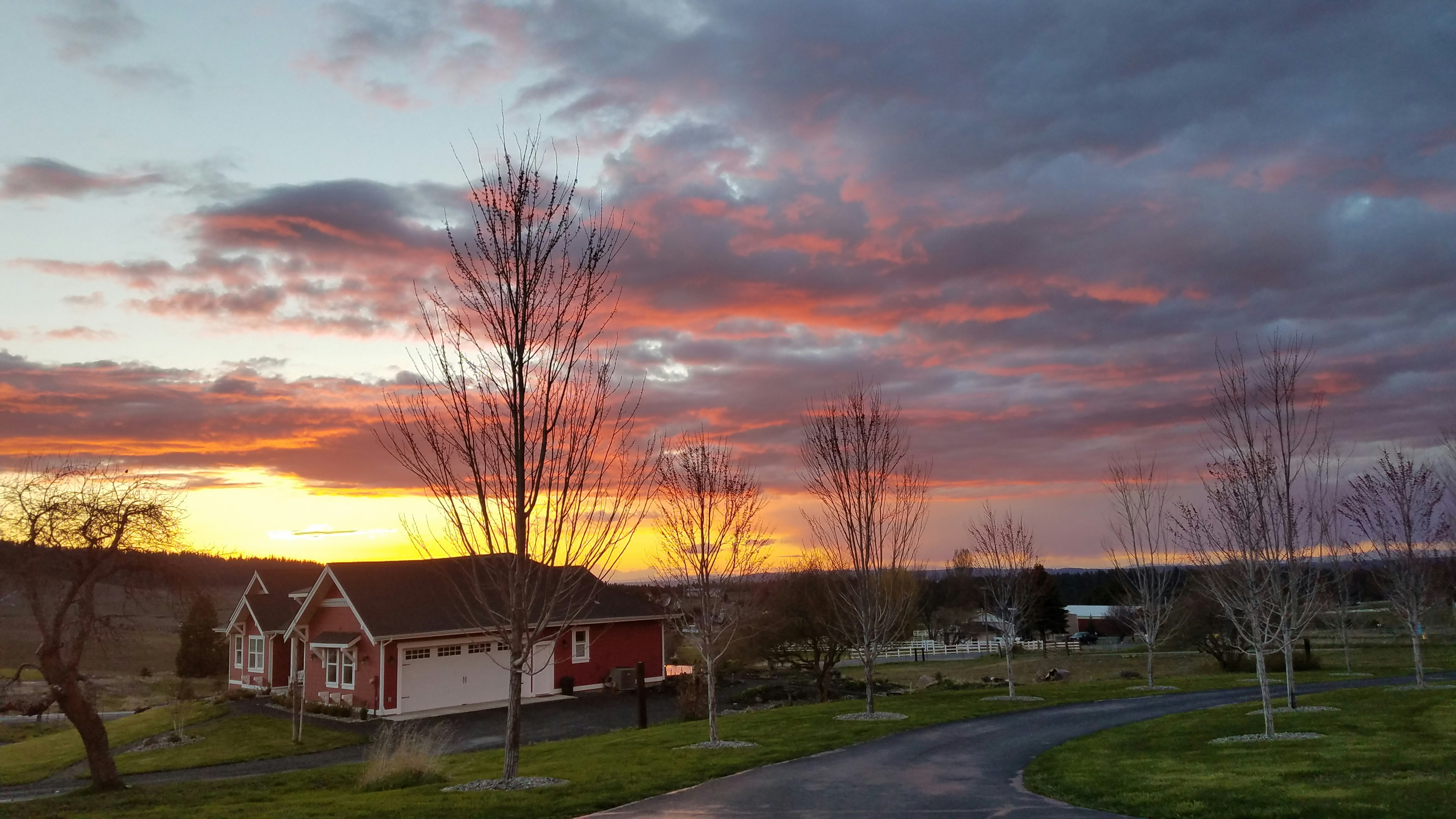 Free Unsplash photo from Nick Peterson