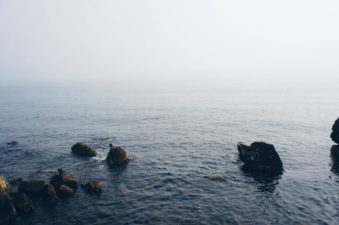 rock formations in body of water