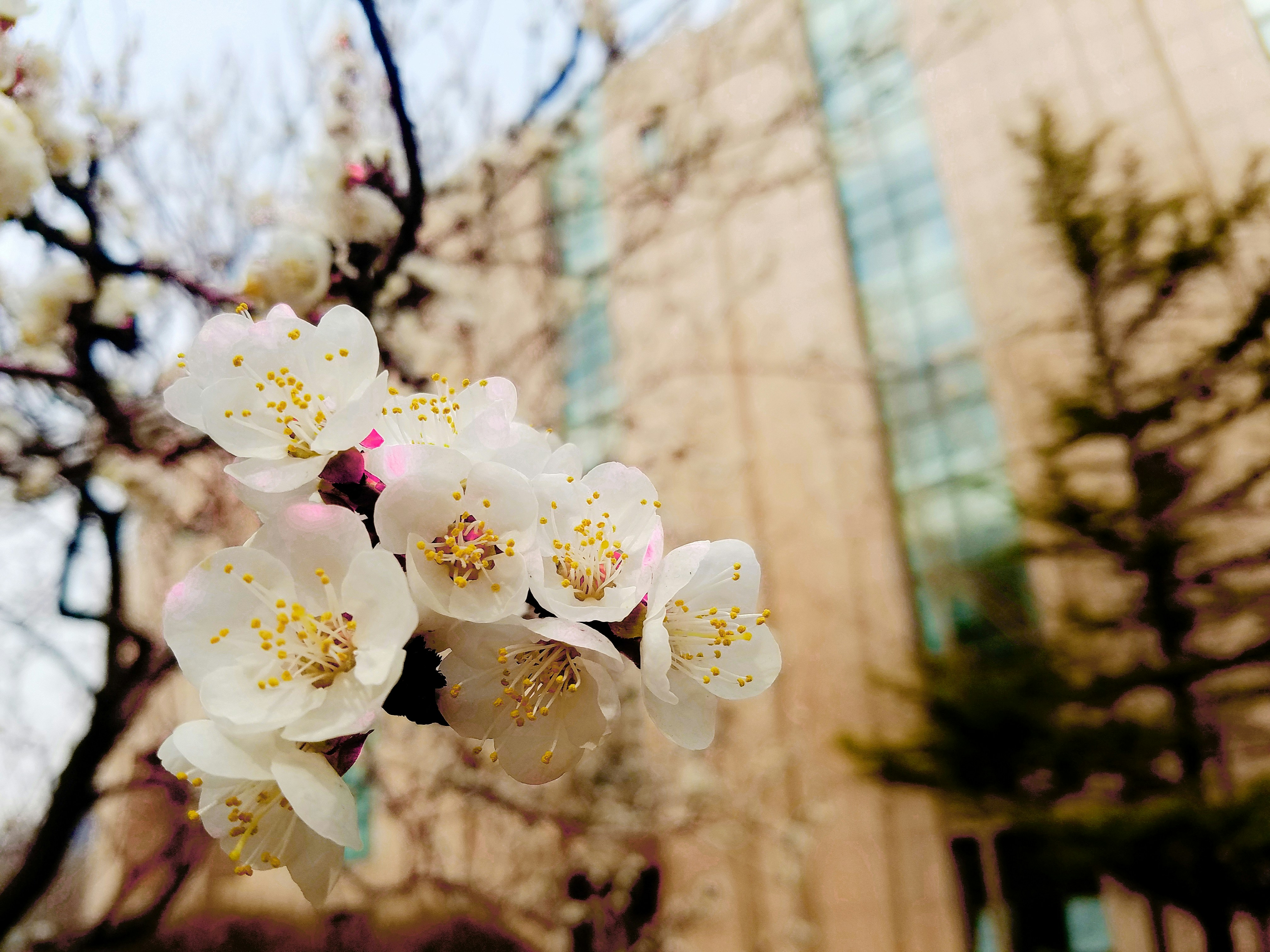 Free Unsplash photo from 民 汪