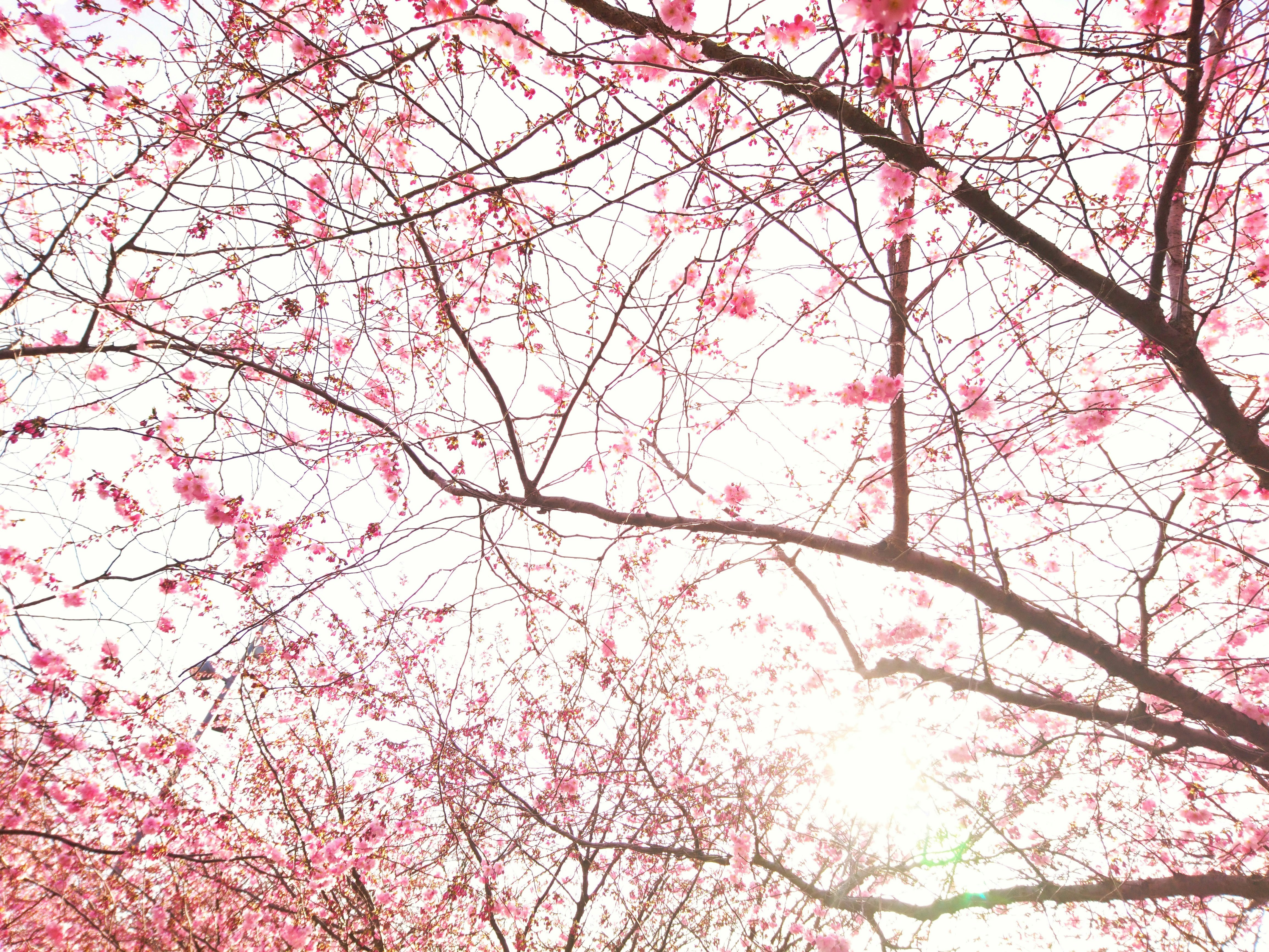 Free Unsplash photo from Fredrik Aldgård Wiklund