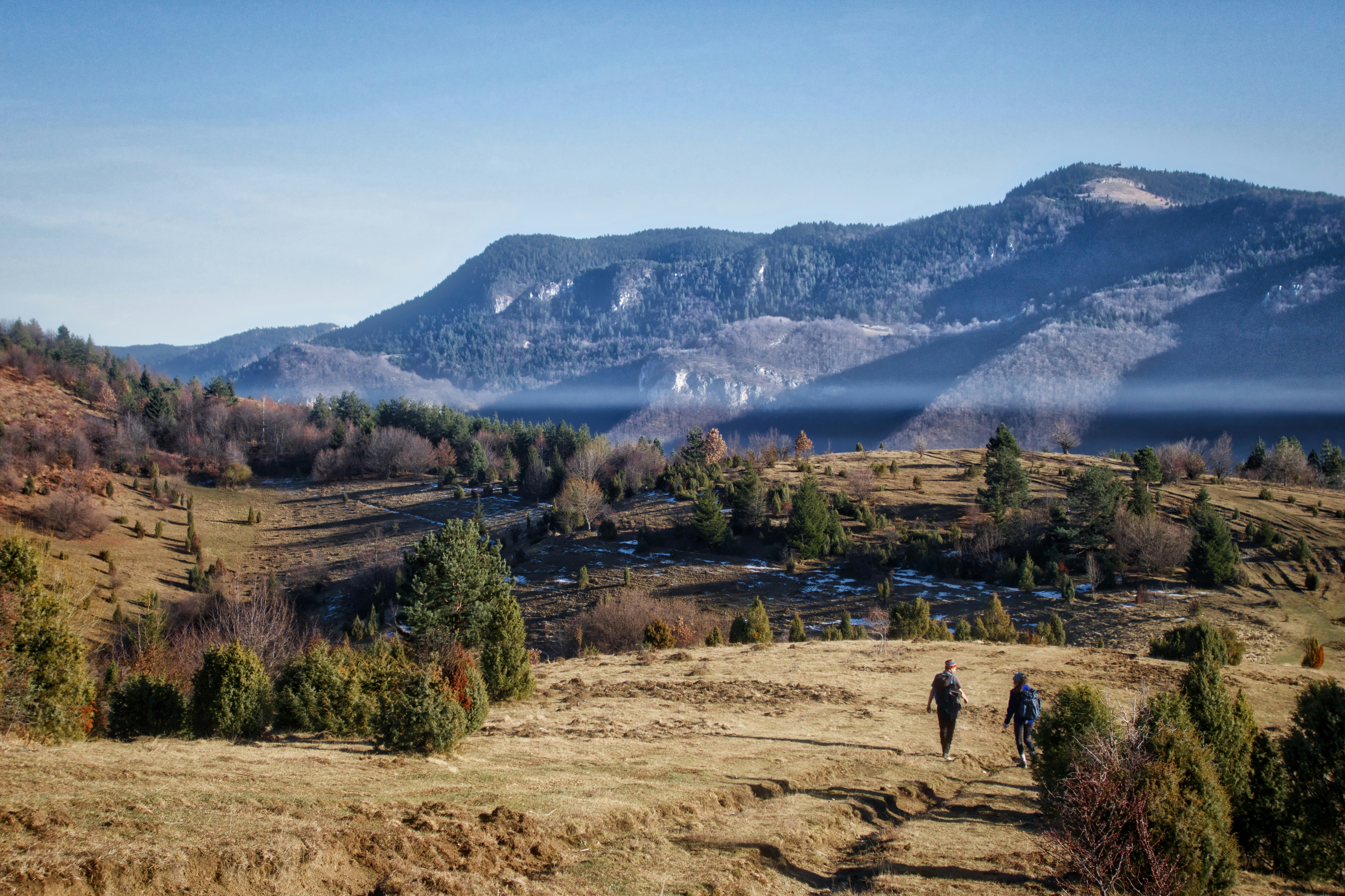 Free Unsplash photo from Edin Pašović