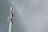 A tall telecommunications tower with several antenna panels and a cloudy sky background.
