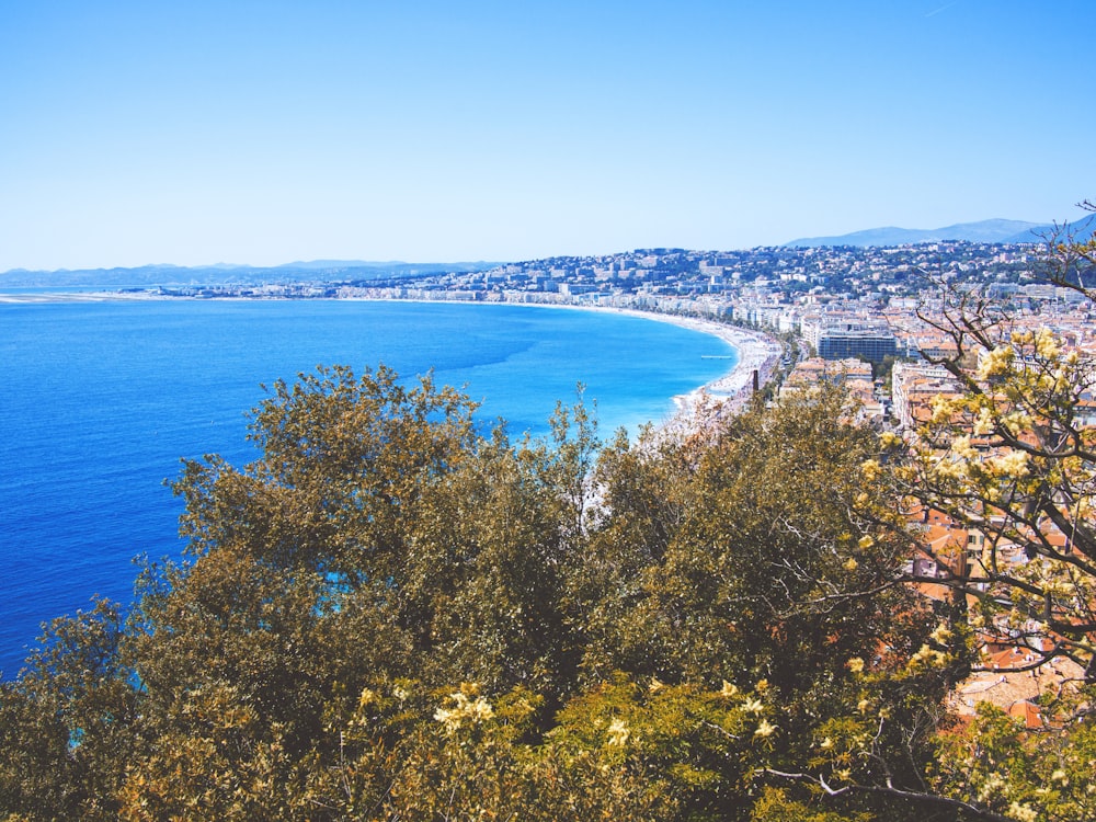 coastal area under blue sky