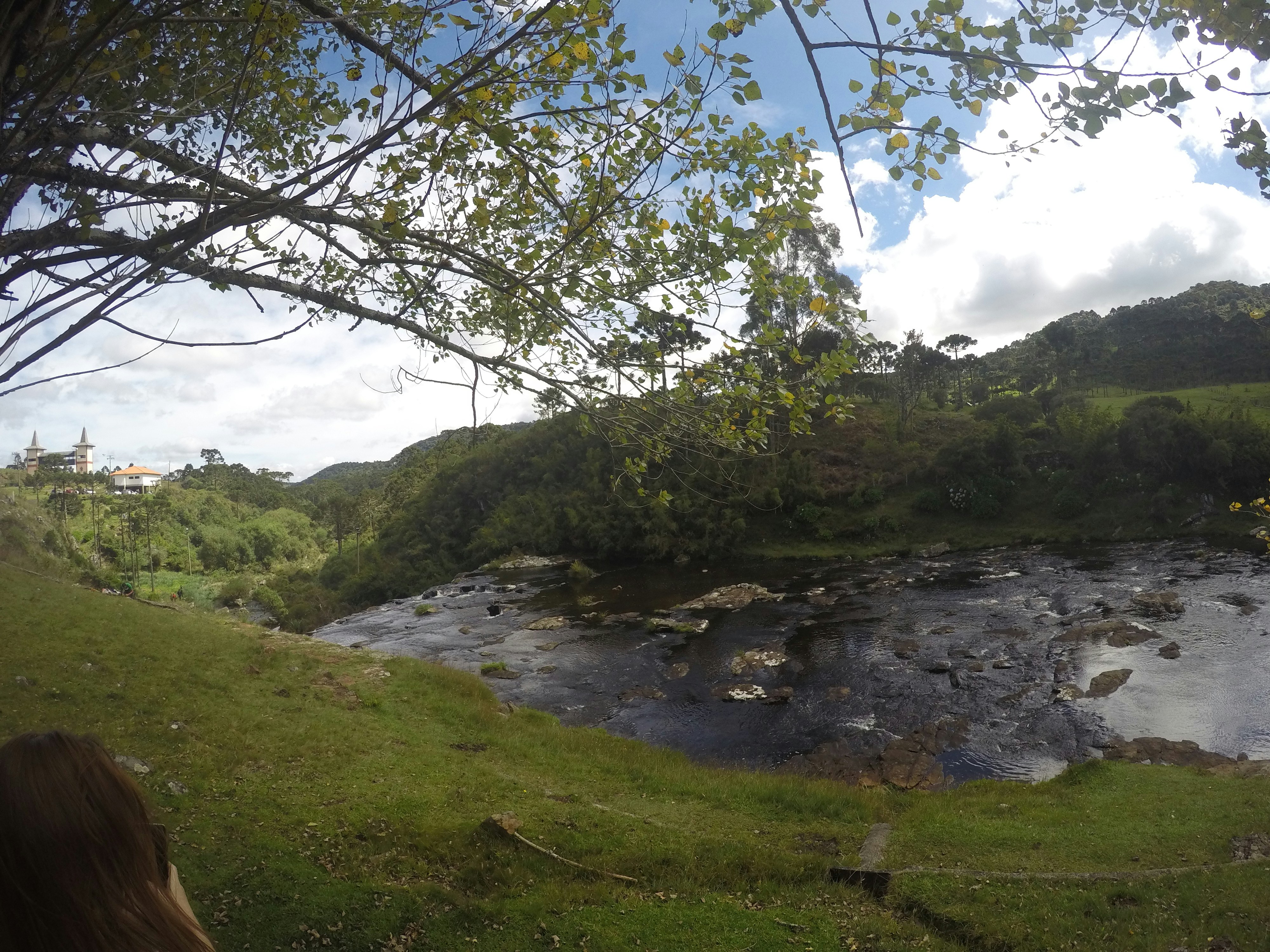 Free Unsplash photo from Alessander Gonçalves José