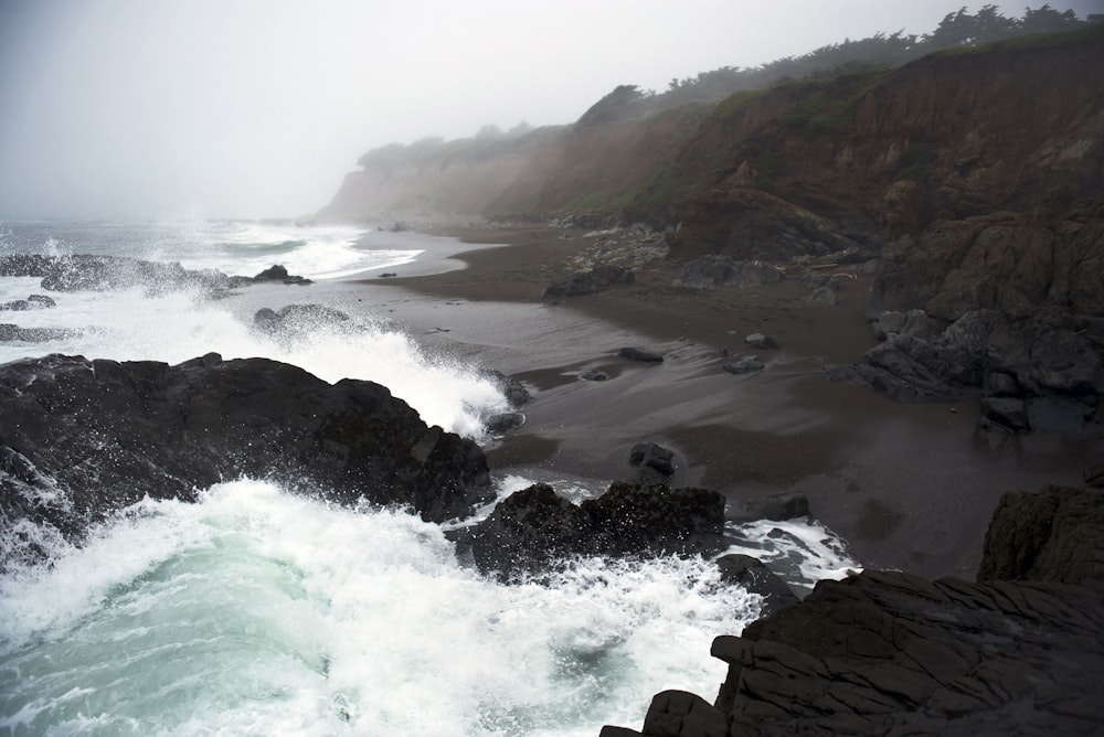 rocks in seashore