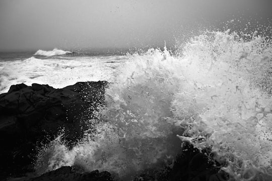 ocean waves during daytime in Cambria United States
