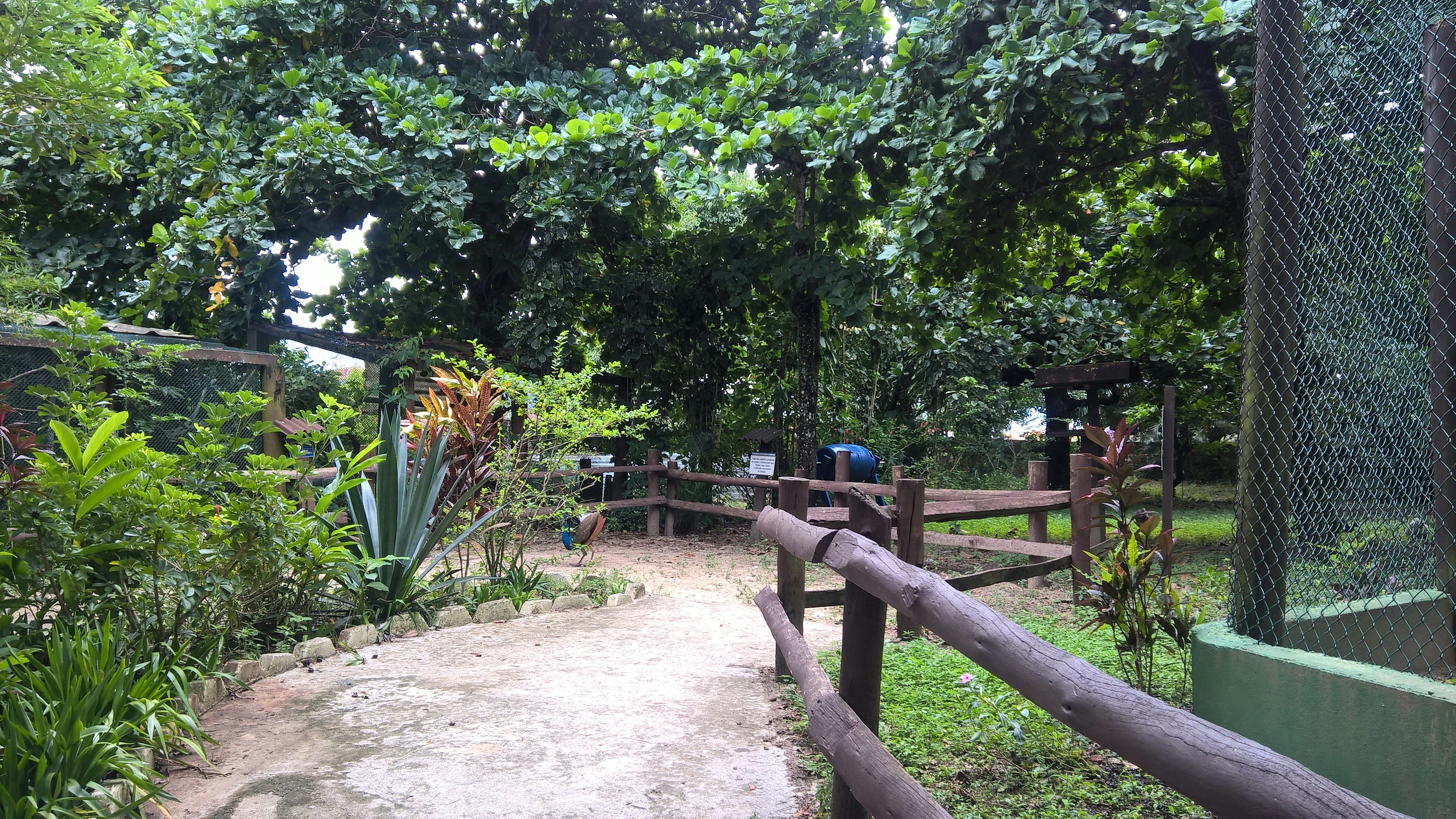 Free Unsplash photo from Sara  Peres