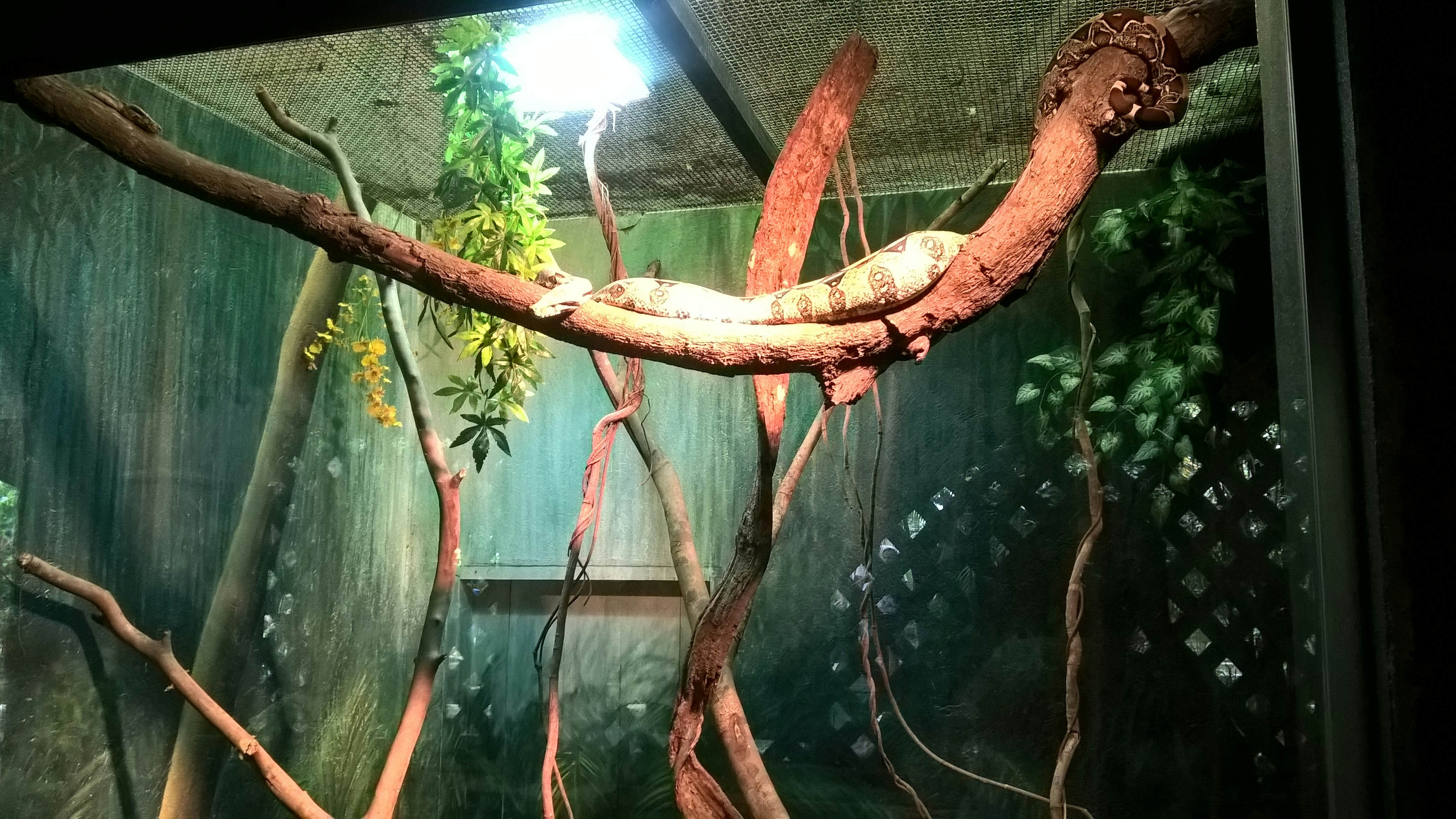 Free Unsplash photo from Sara  Peres