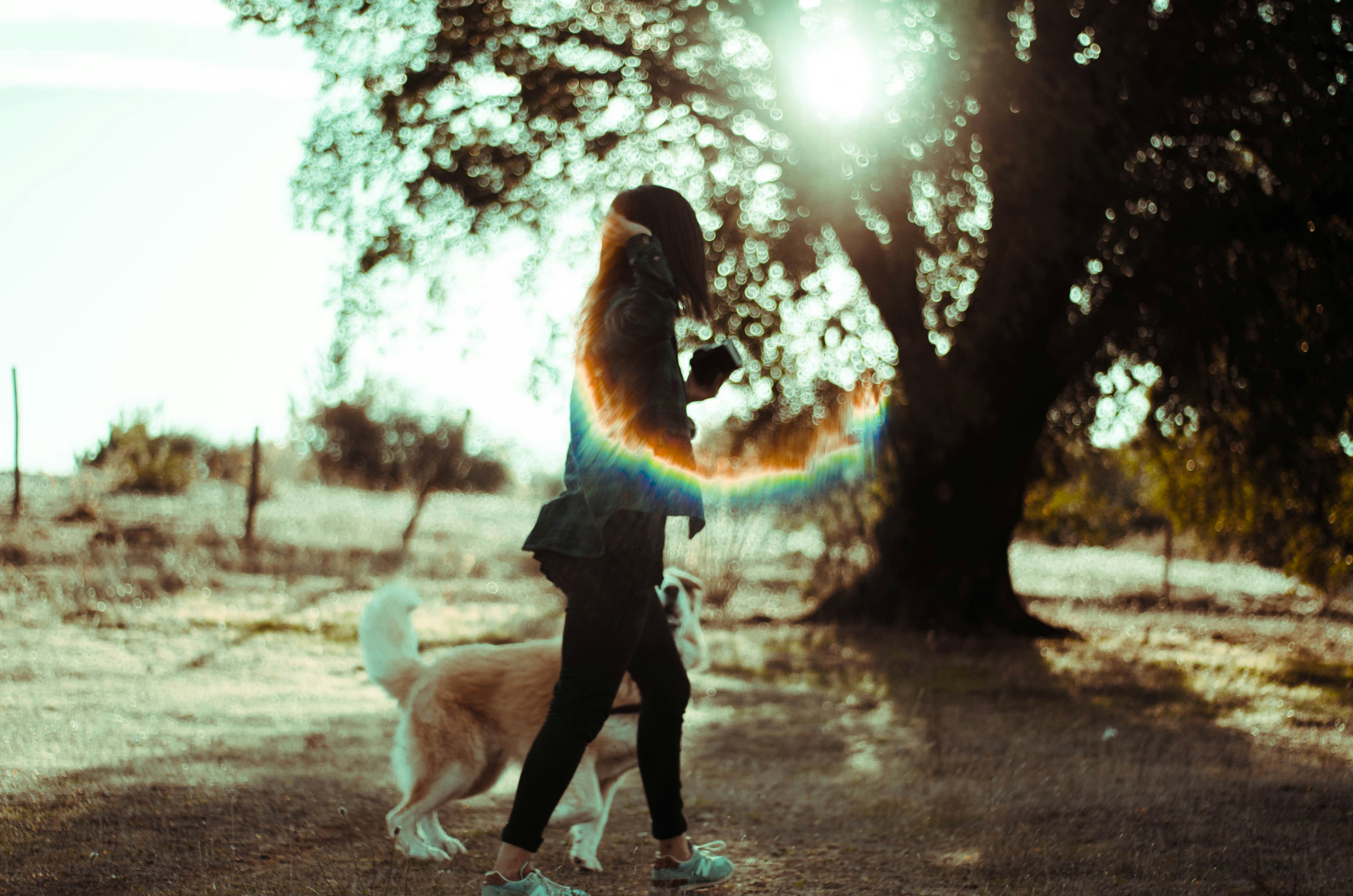 Free Unsplash photo from erik cid