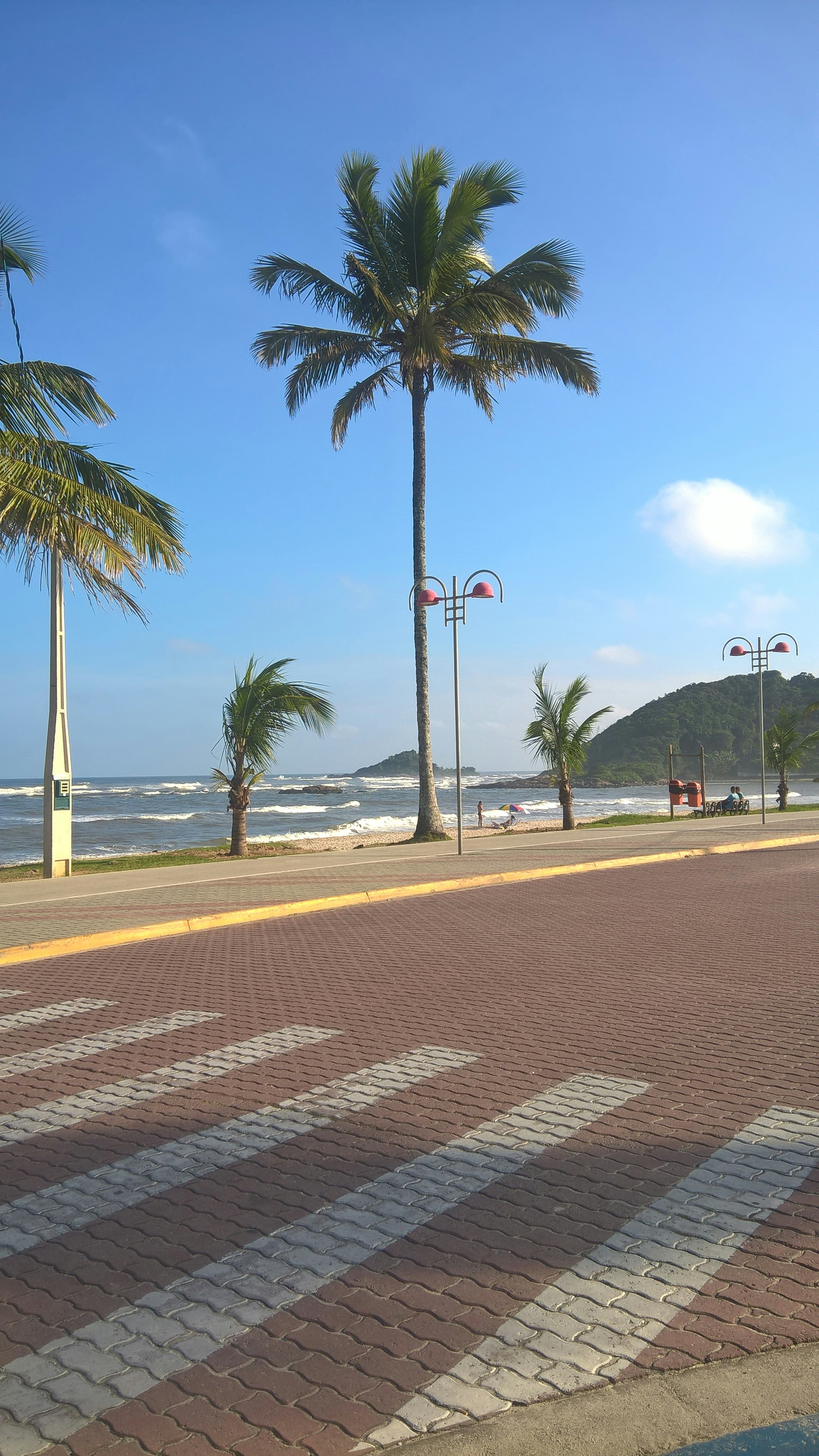 Free Unsplash photo from Sara  Peres