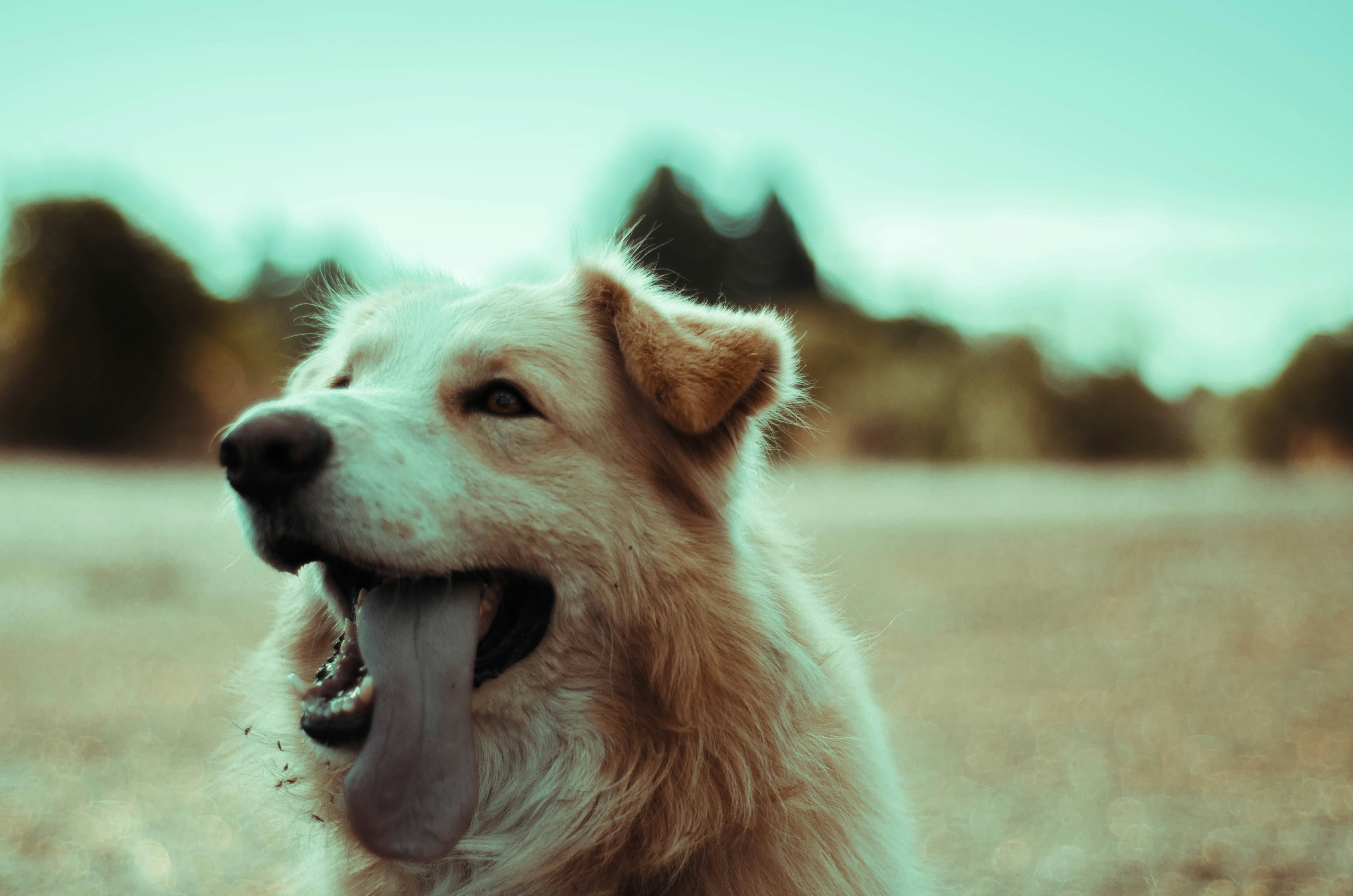 Free Unsplash photo from erik cid