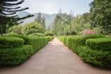 A peaceful garden path lined with pastel-colored flowers and soft blue skies.