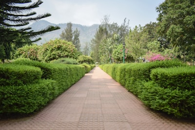A peaceful landscaped garden path winding through the township under a clear blue sky.