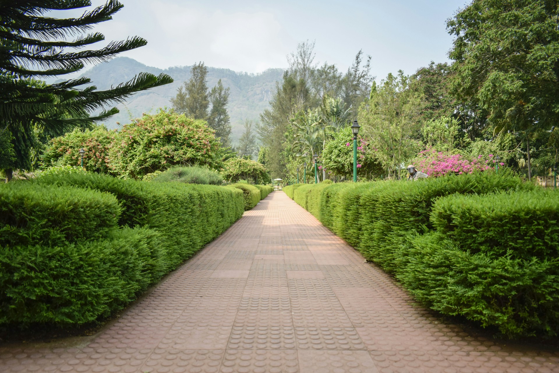 woman wearing yellow long-sleeved dress under white clouds and blue sky during daytime