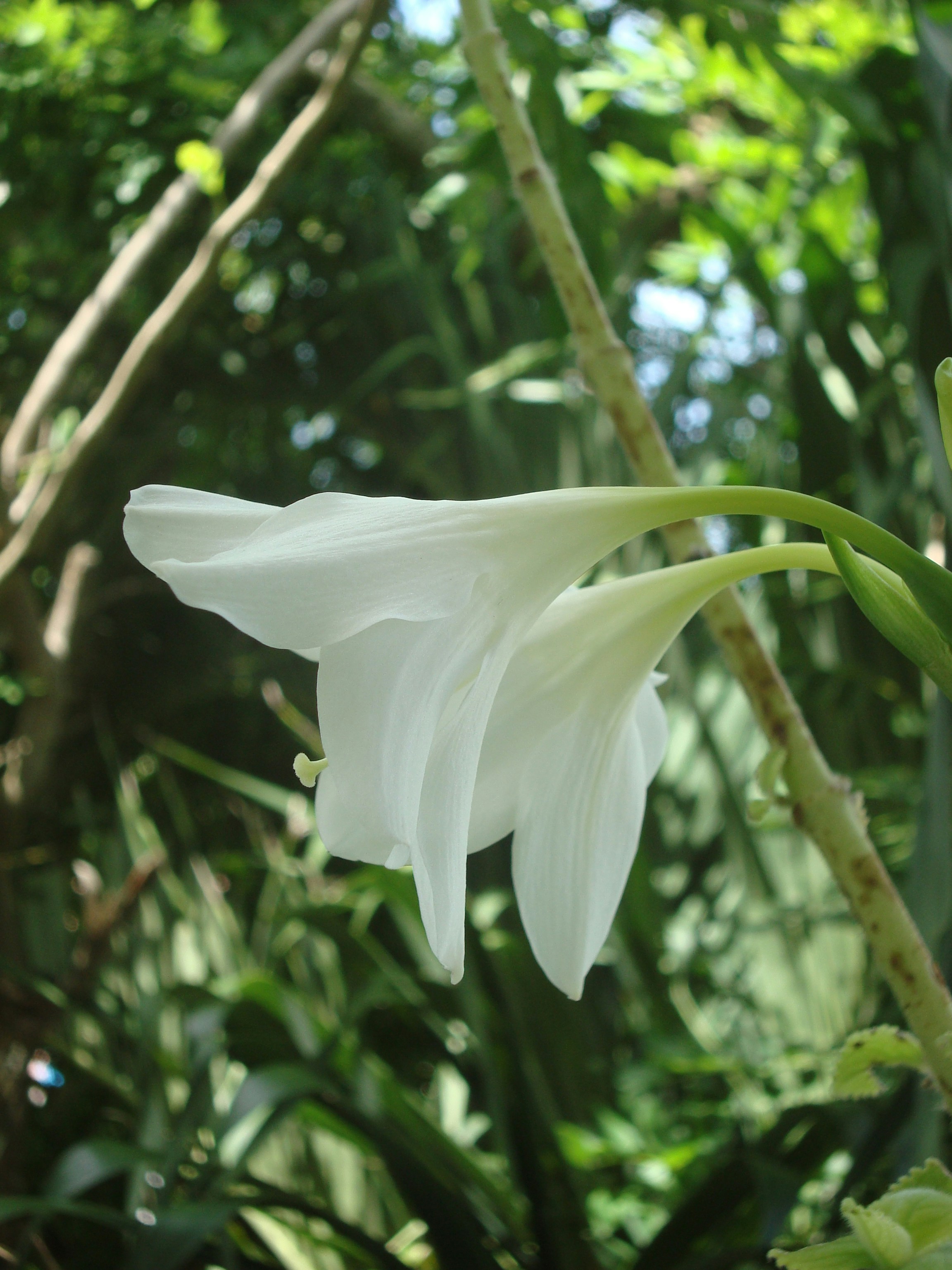 Free Unsplash photo from luis palacio