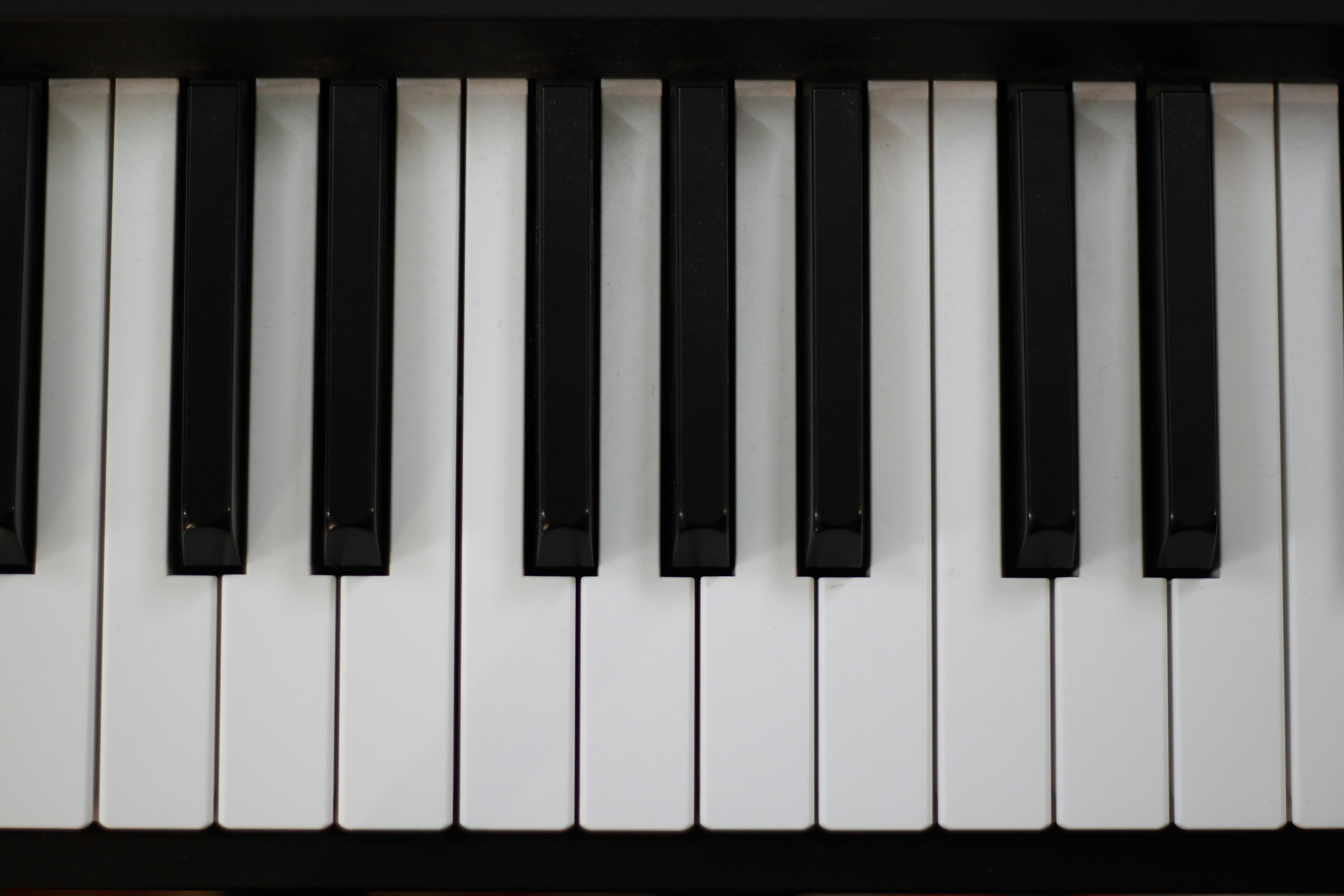 photo-1492657048190-7622e86256dd?ixlib=rb-1.2.1&ixid=eyJhcHBfaWQiOjEyMDd9&auto=format&fit=crop&w=1500&q=80