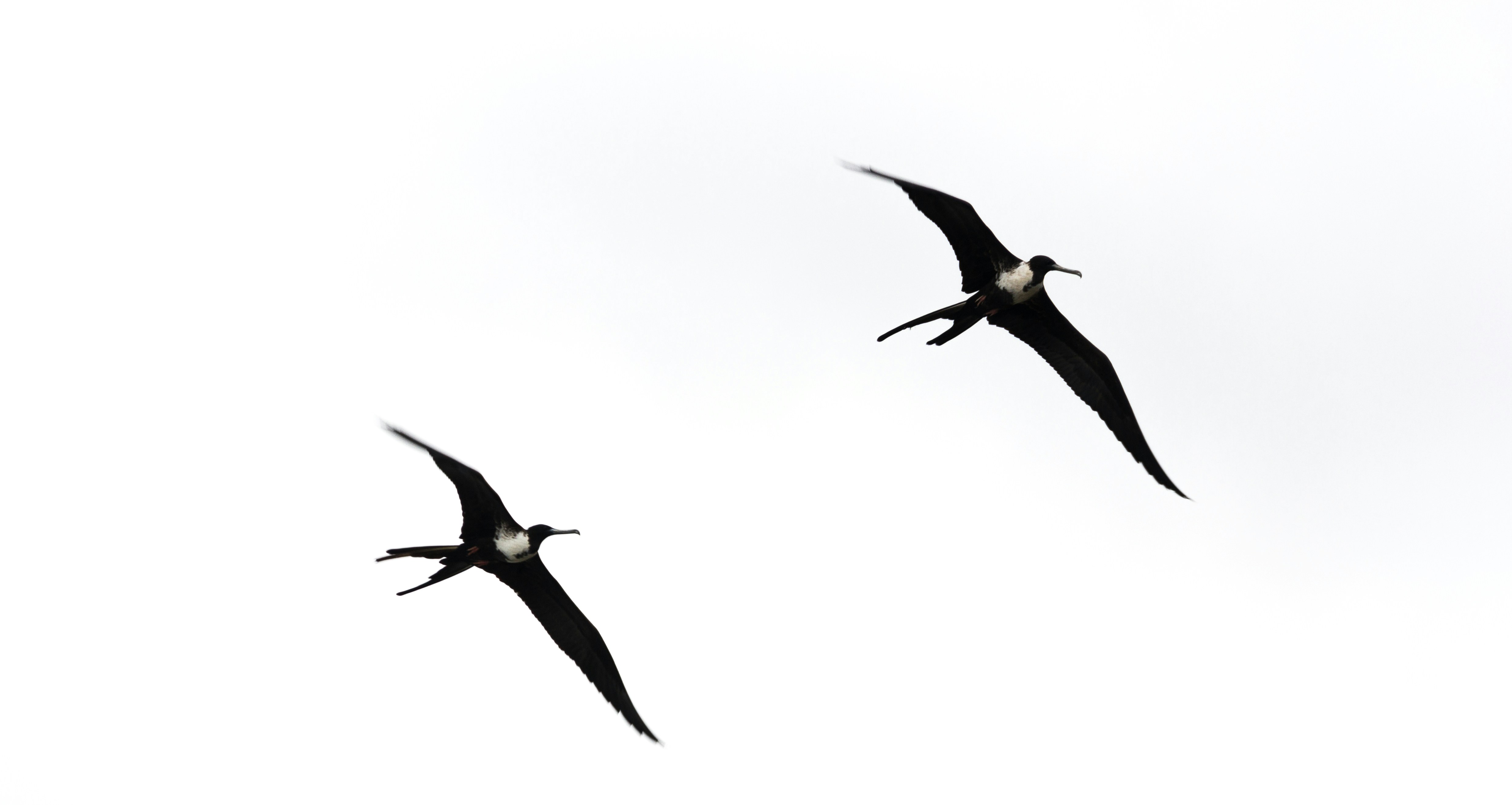 Free Unsplash photo from Flavio Stoll Toaldo