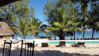 A serene beach resort with guests enjoying the sun in a clothing-optional setting surrounded by lush greenery.