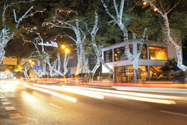A completed streetscape block set glowing warmly under soft lighting, inviting admiration.