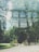An artistic composition featuring a blend of a glass structure and lush greenery. The image captures the reflection of large arched windows overlaid with the vibrant foliage of trees. In the lower portion, three individuals walk along a pathway surrounded by natural scenery.