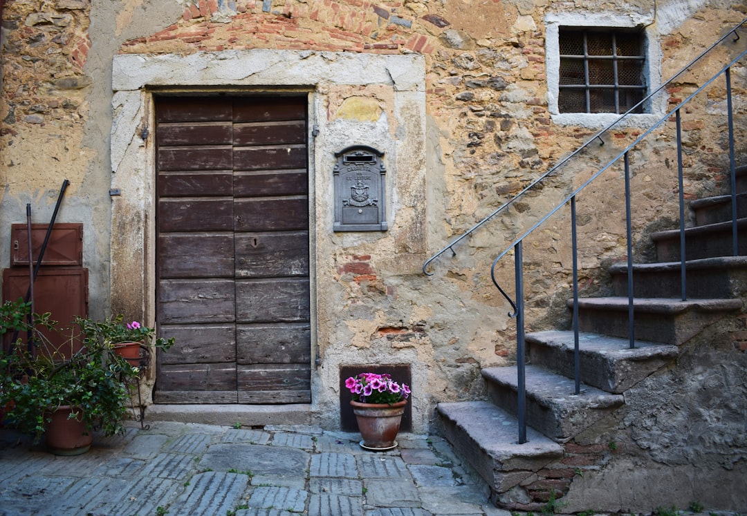 brown wooden door beside red flower