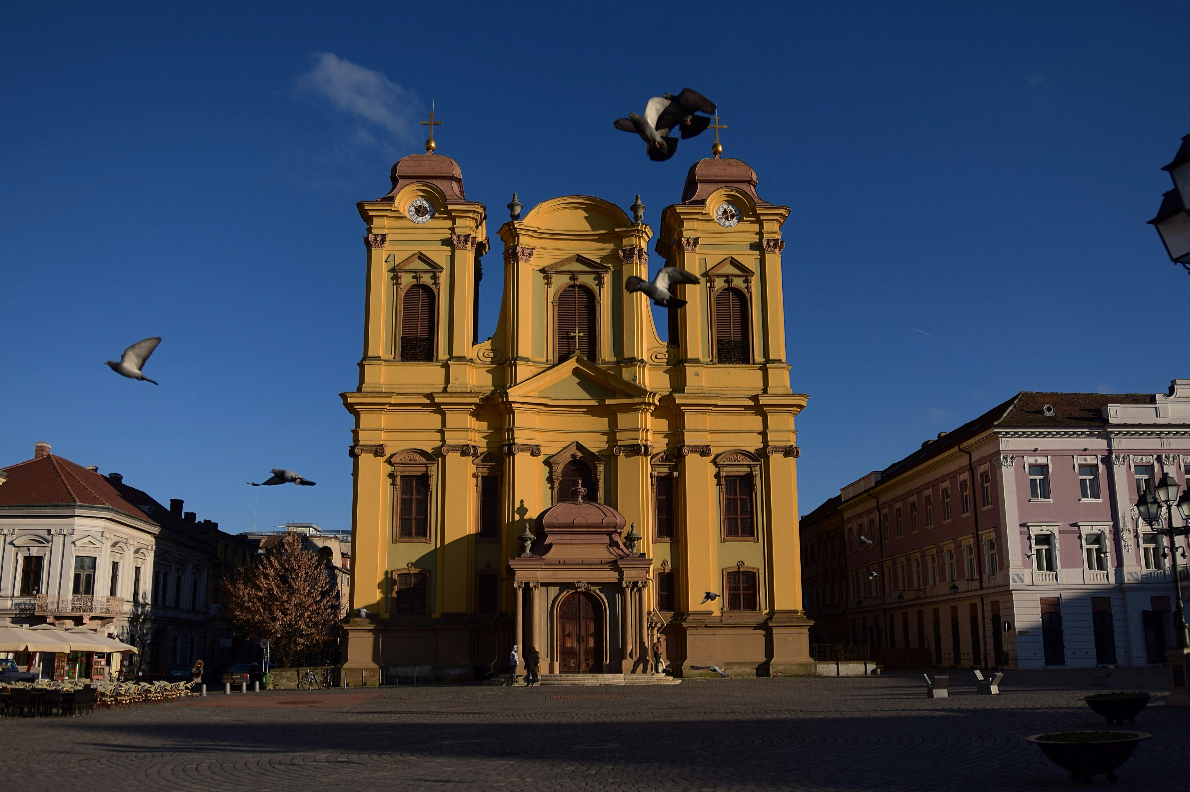 Free Unsplash photo from Mirciov Dan