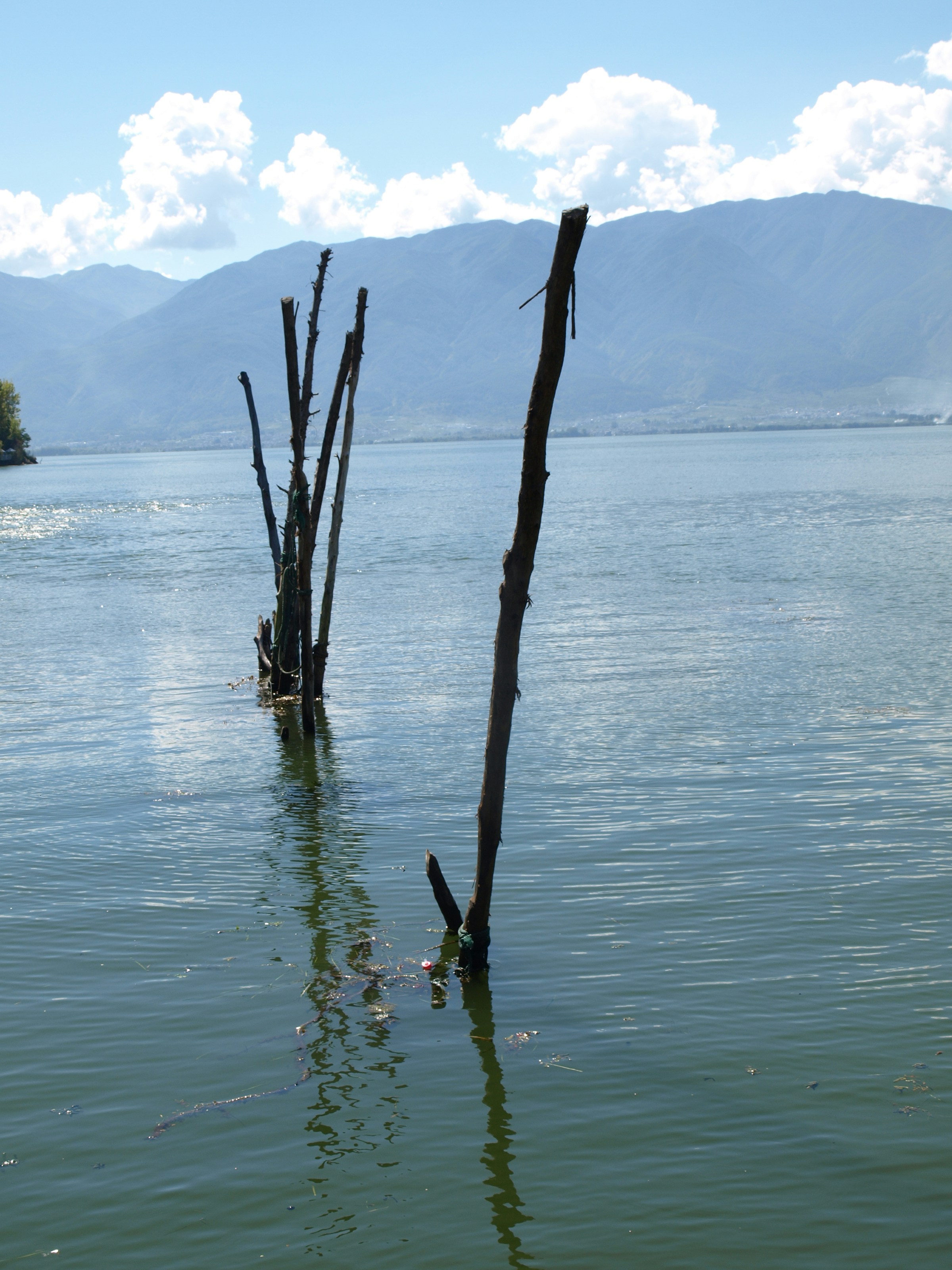 Free Unsplash photo from dongyang xu