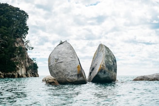 gray rock cut in half for female