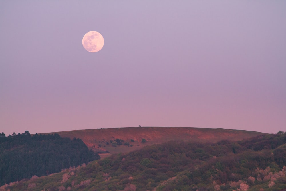 green mountain during night time