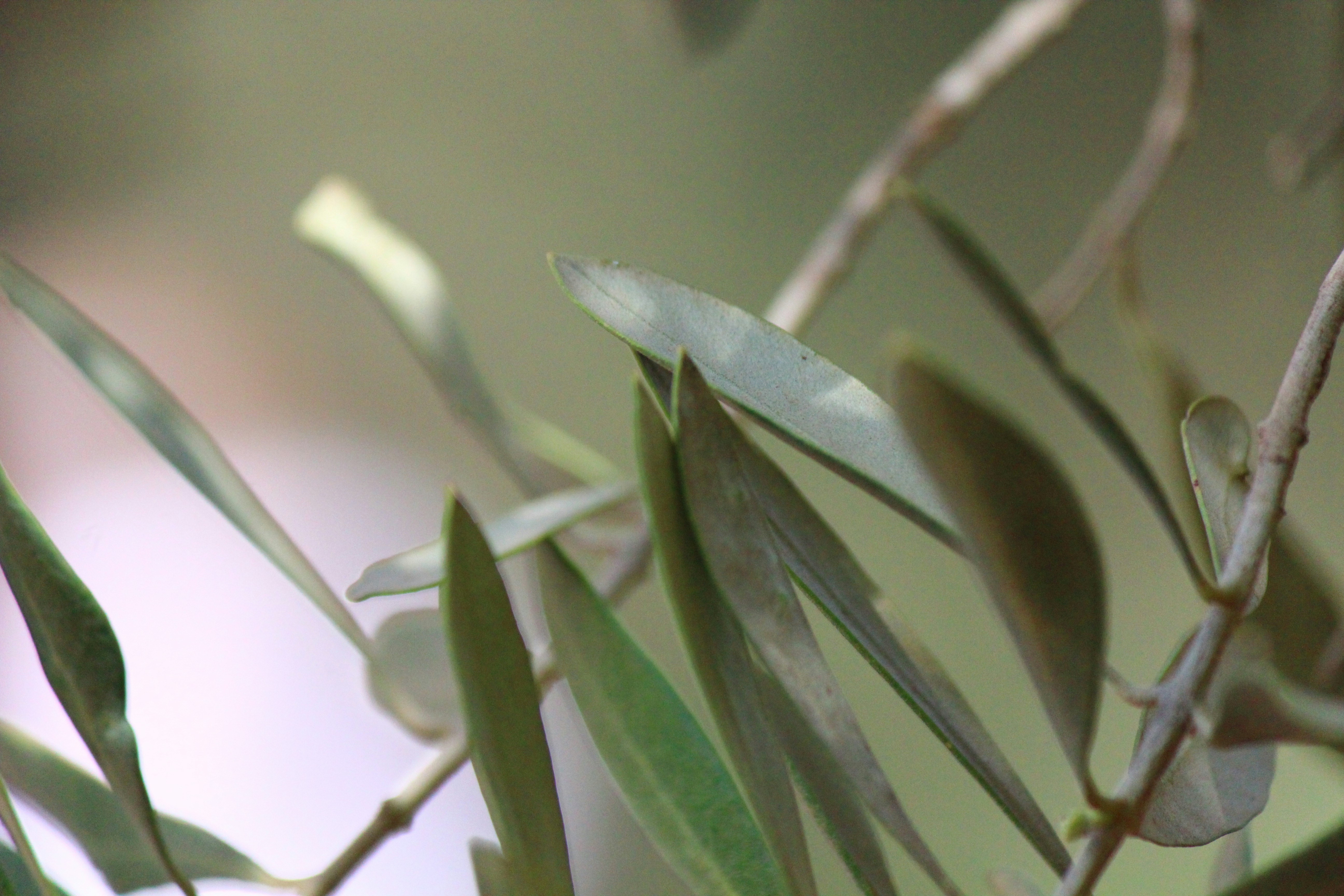 Free Unsplash photo from Houssam ElMountassir