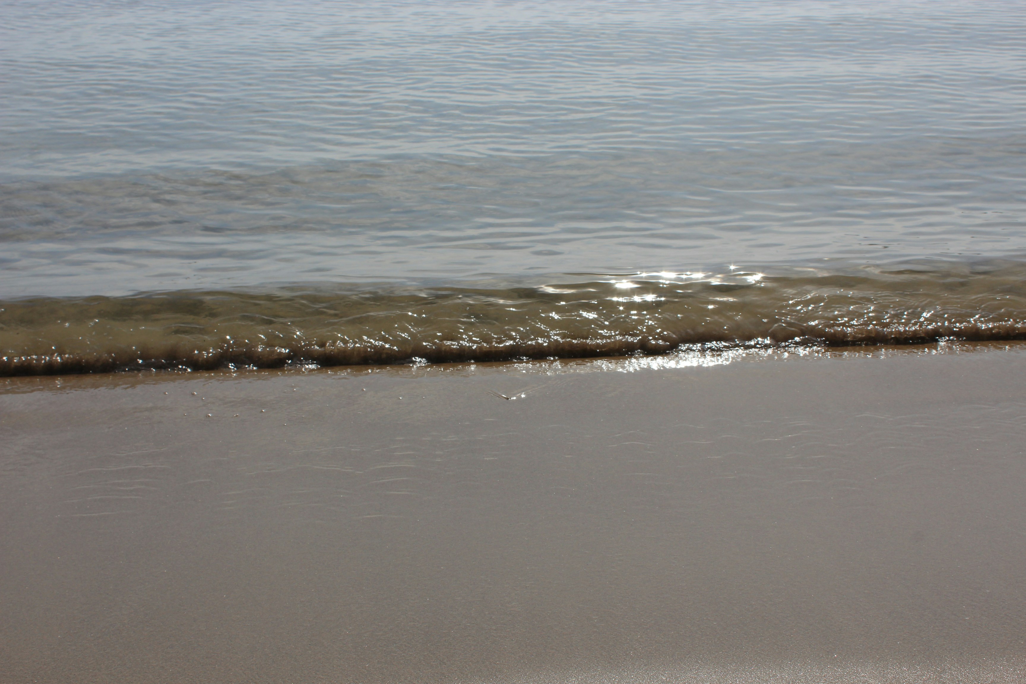 Free Unsplash photo from Maria Victoria Ascensión  cuartero flores