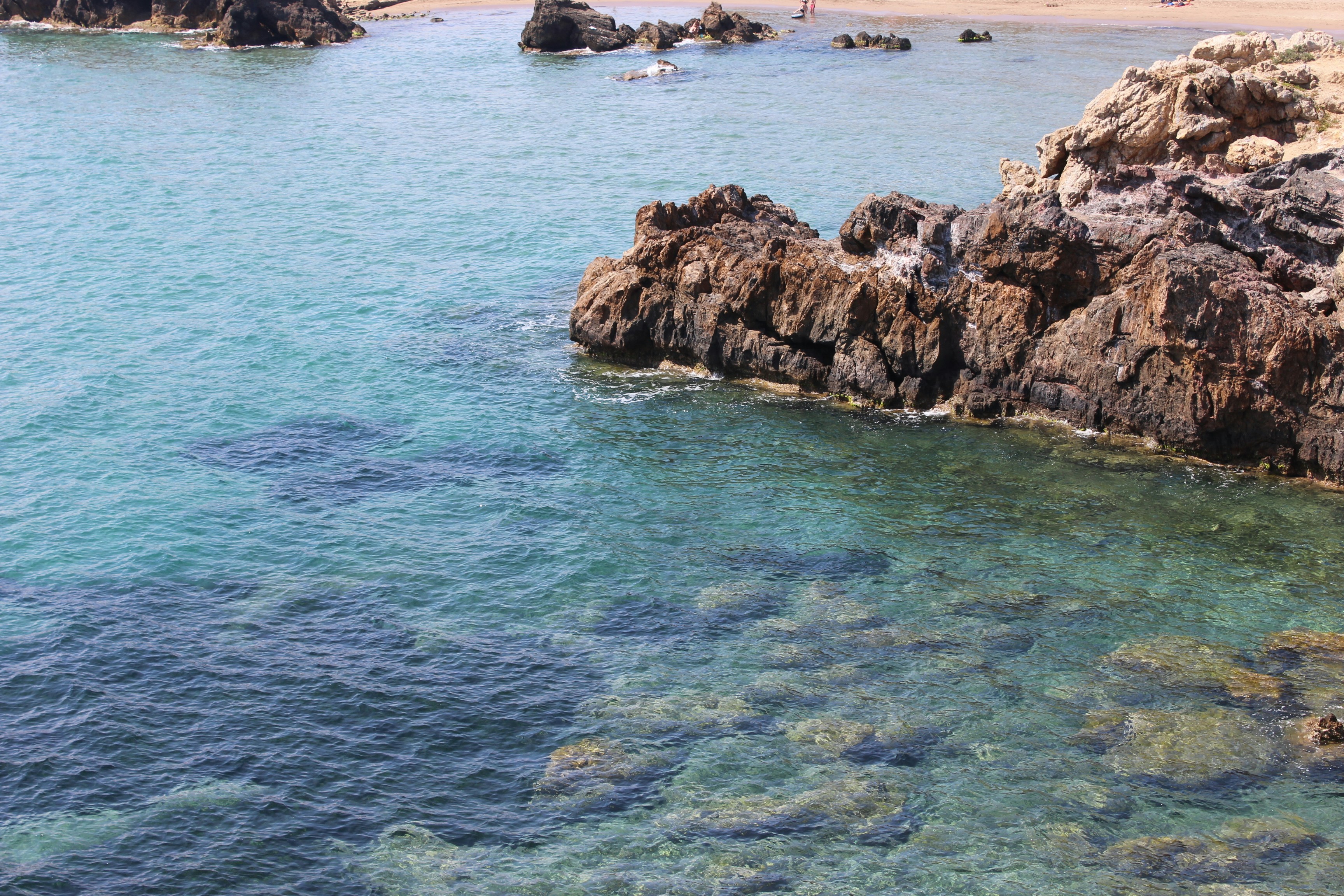 Free Unsplash photo from Maria Victoria Ascensión  cuartero flores