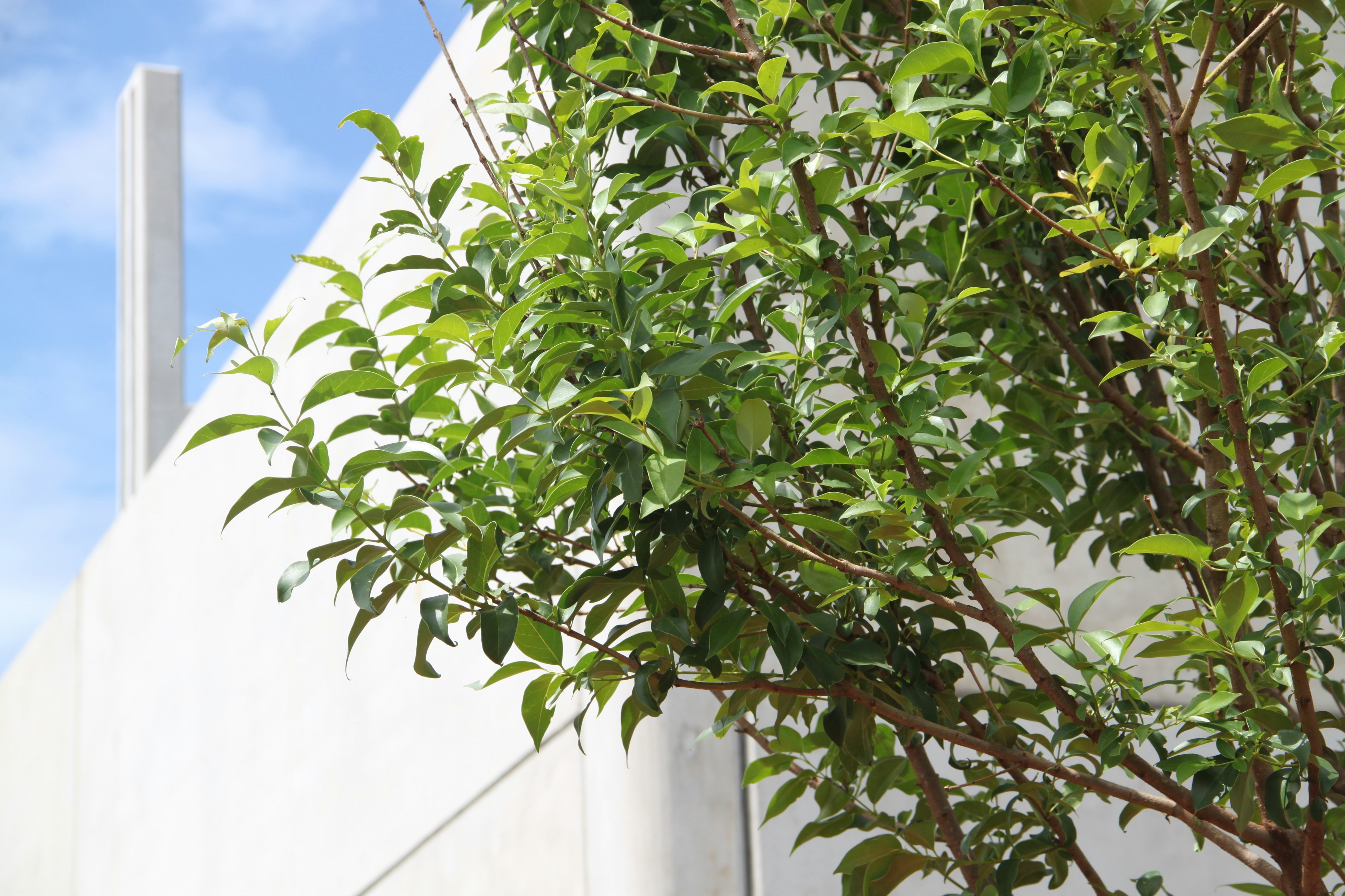 Free Unsplash photo from Olivio Jr. Rodrigues Peres