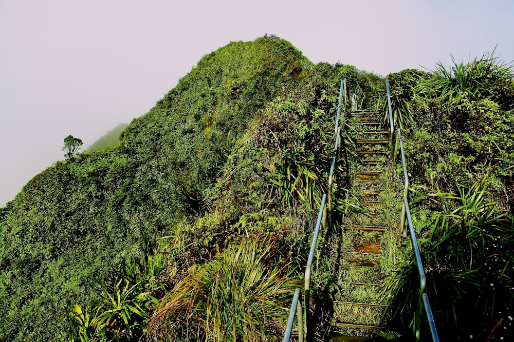 gradini che salgono su una collina