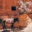 A cheerful donkey adorned with a colorful saddle at a wedding venue.