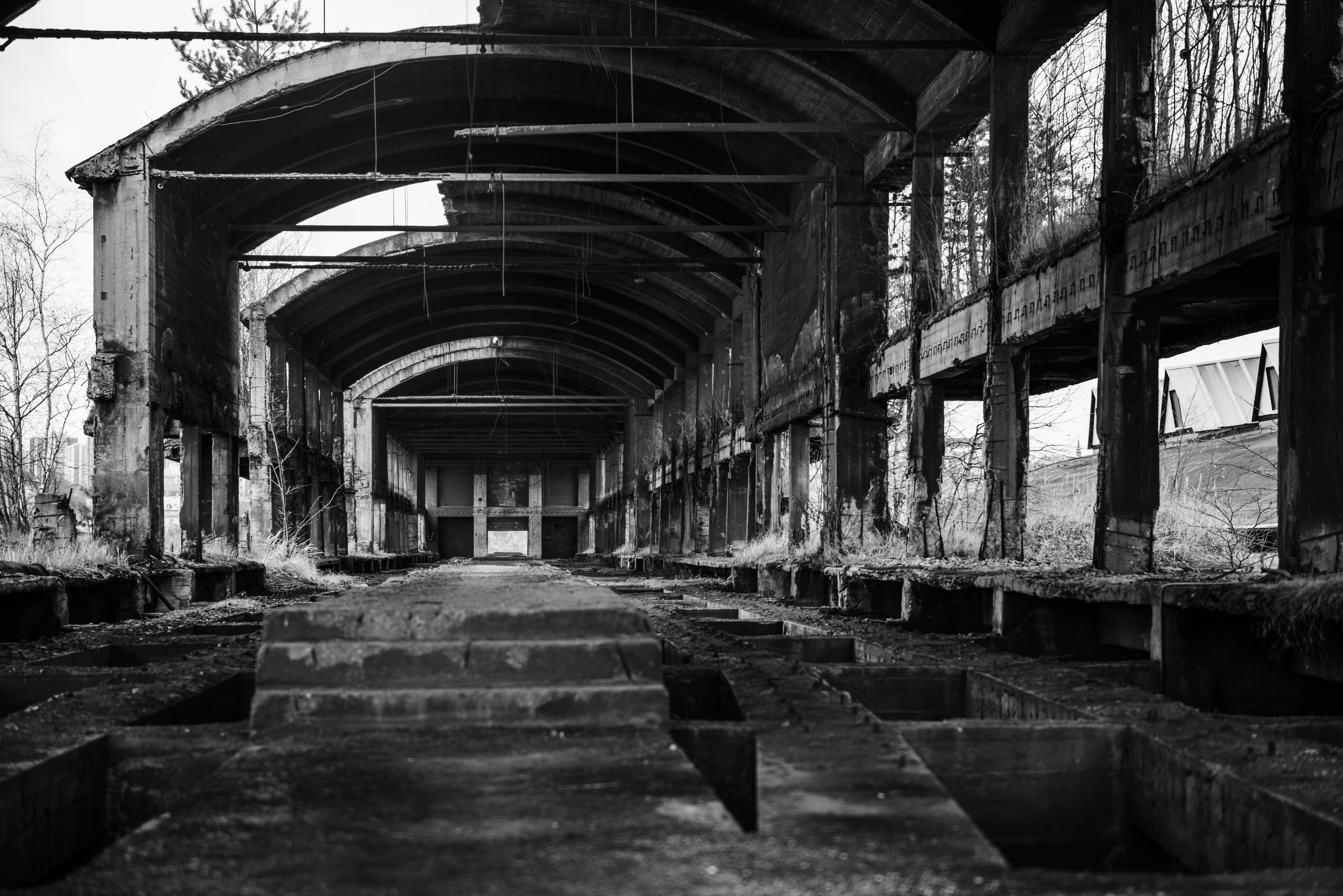 Free Unsplash photo from Nicolas Zörkler