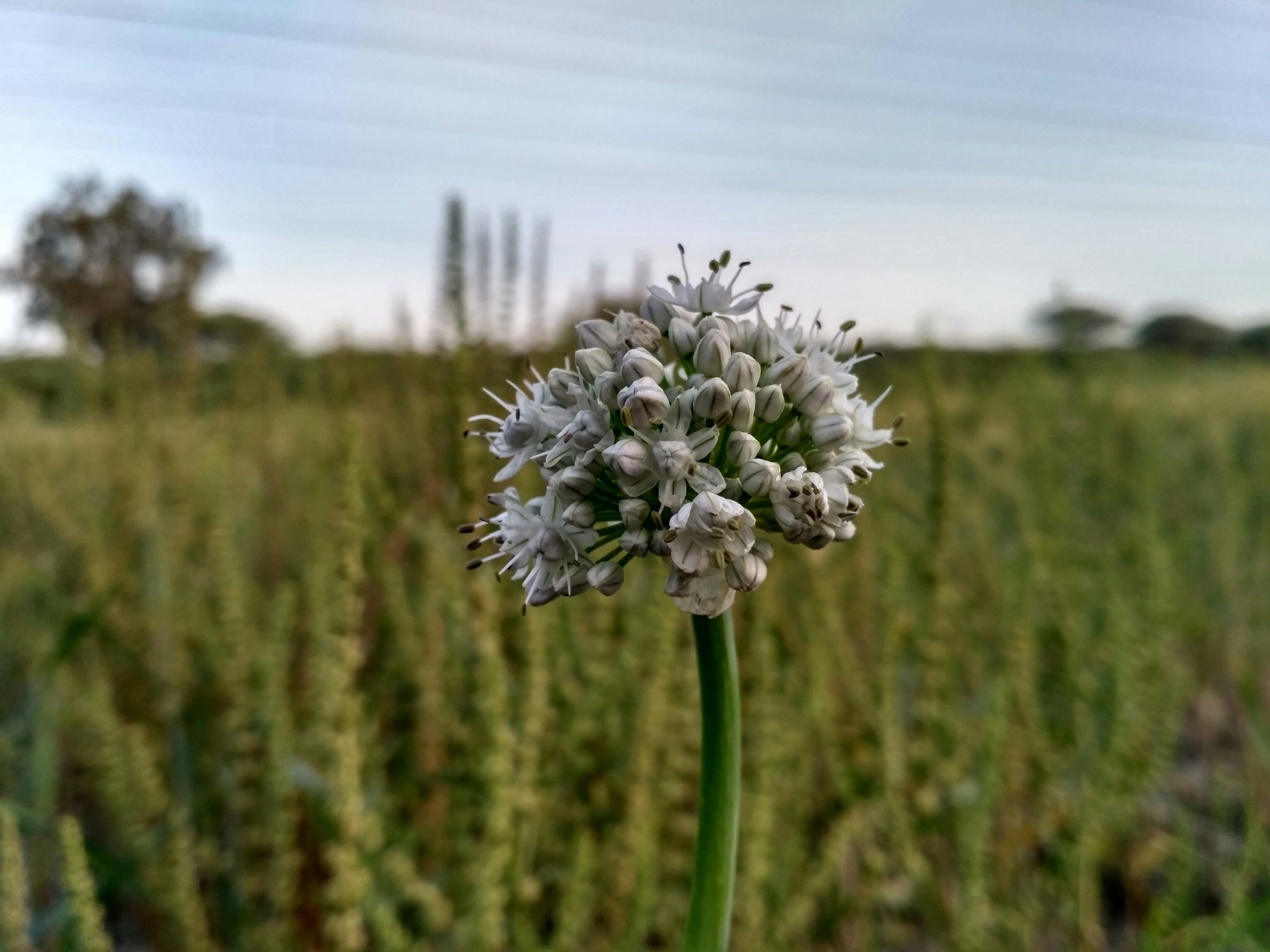 Free Unsplash photo from Prince Yadav