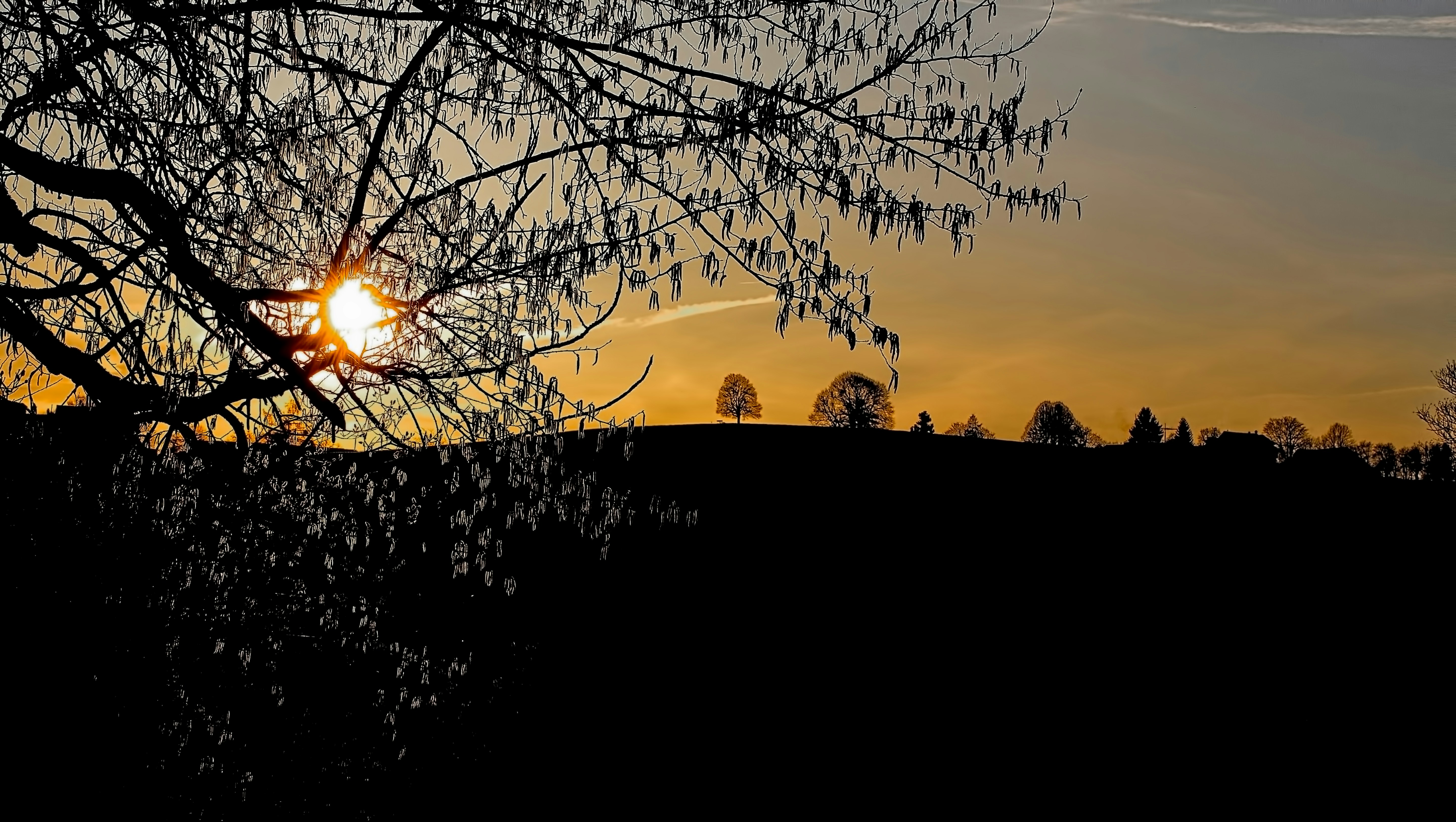 Photo by rgaleriacom