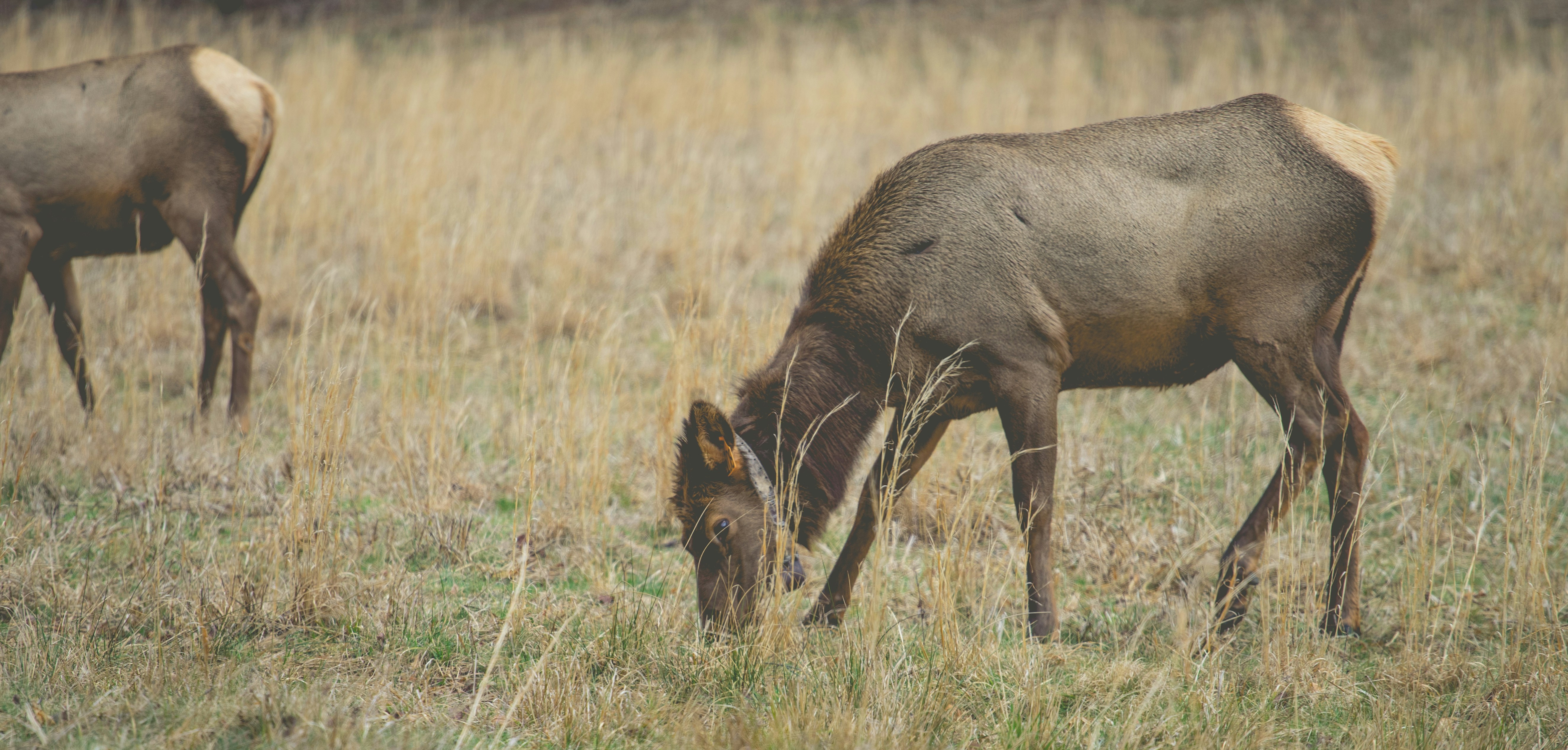 Free Unsplash photo from Jeffrey Wegrzyn