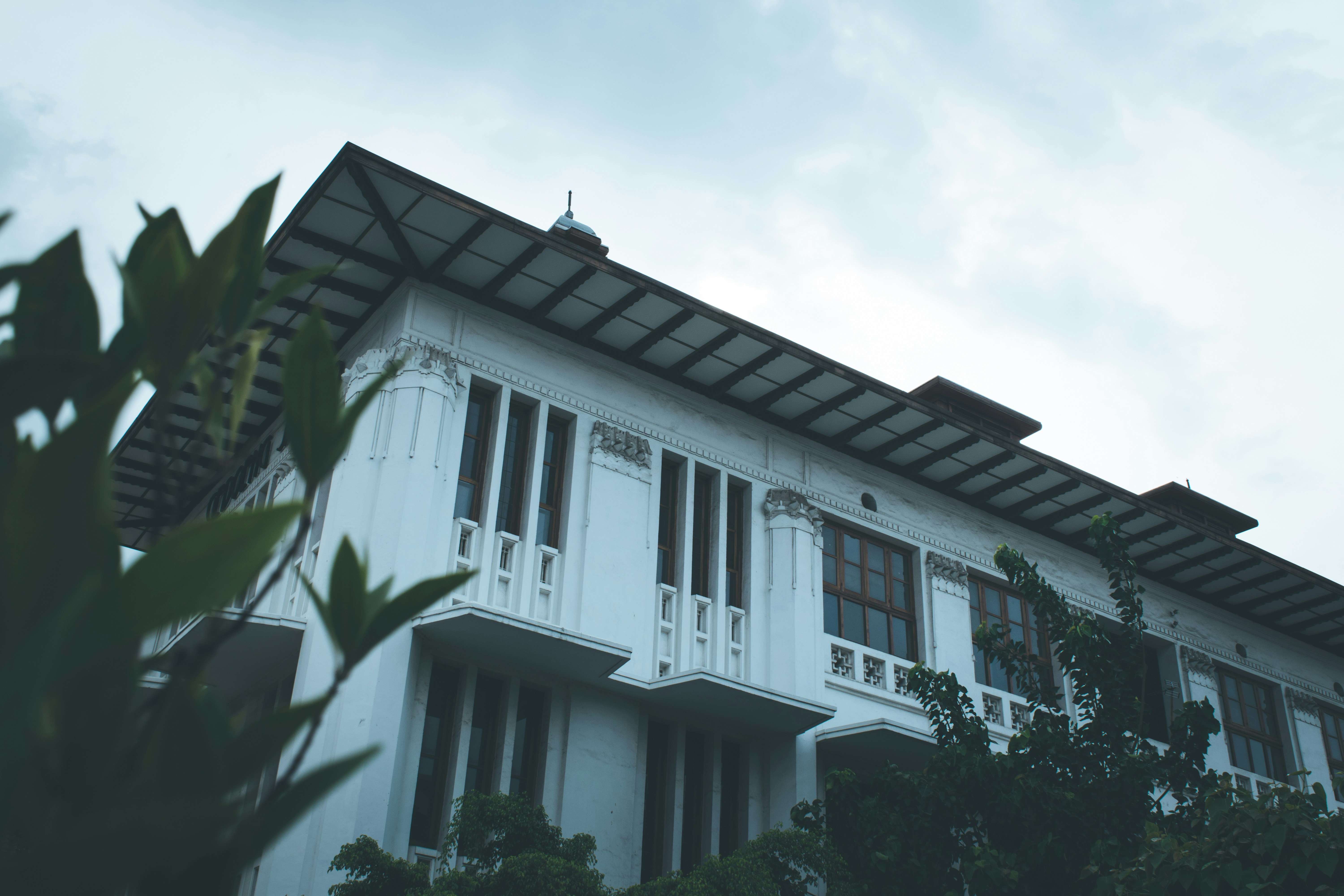 Free Unsplash photo from Faiz Muhammad