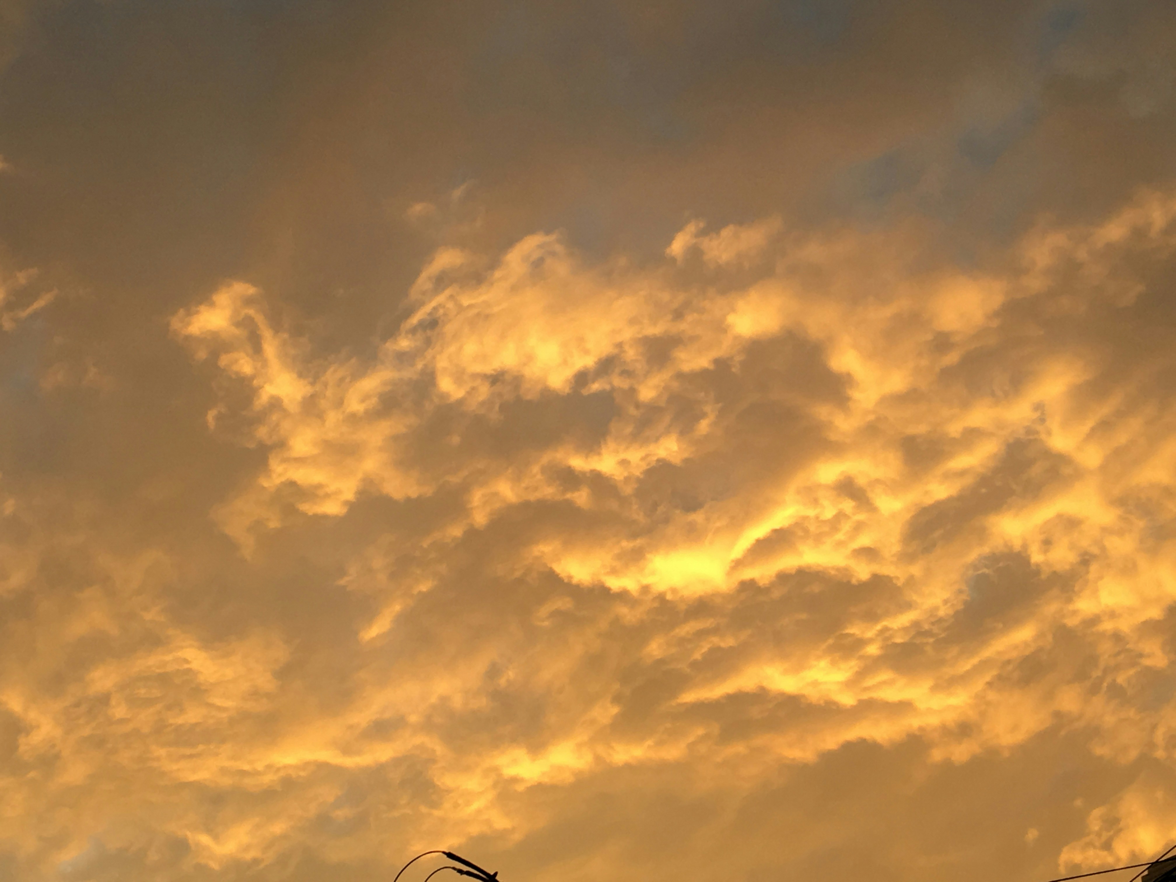 Free Unsplash photo from Vani Shree