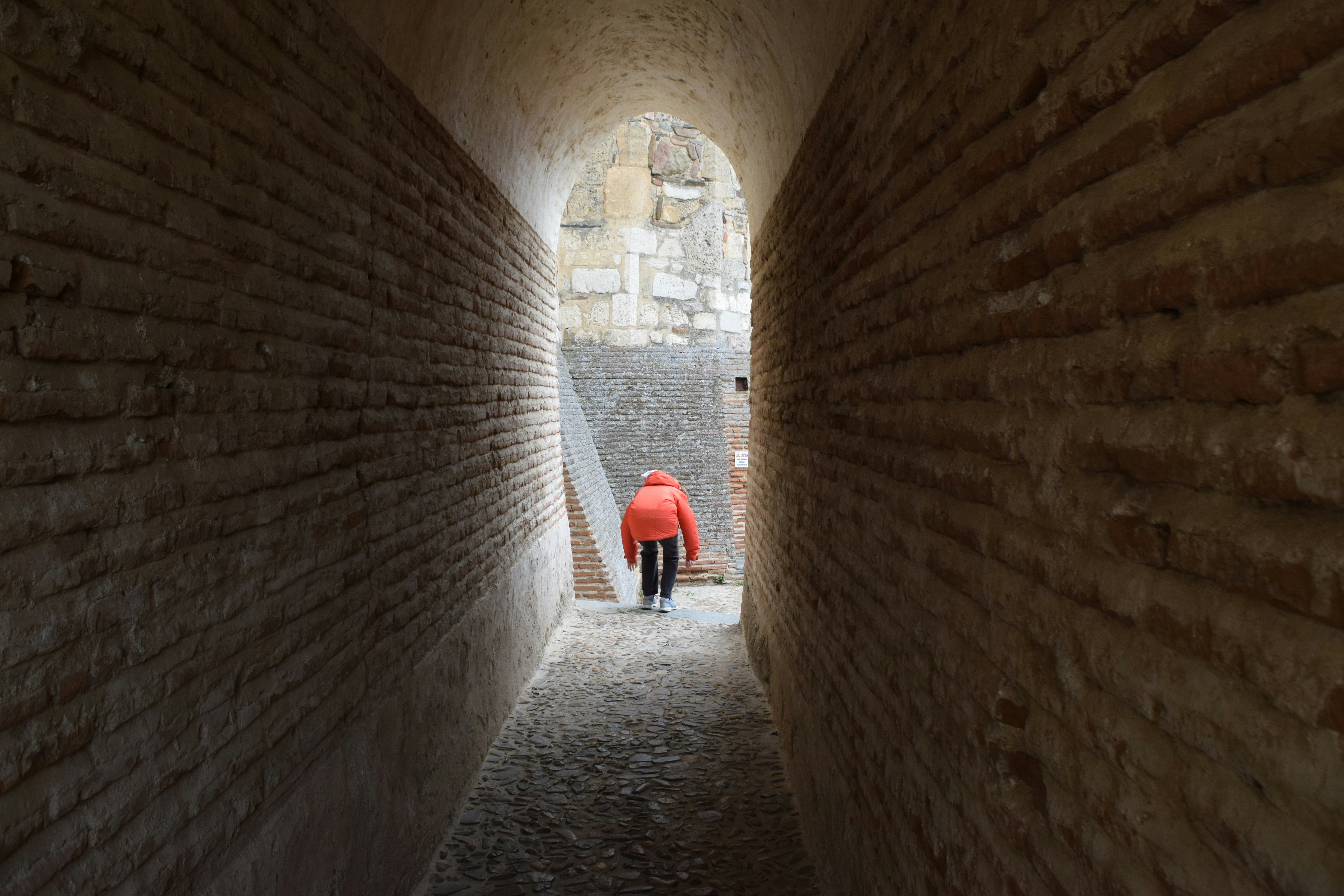 Free Unsplash photo from Lucia Velez