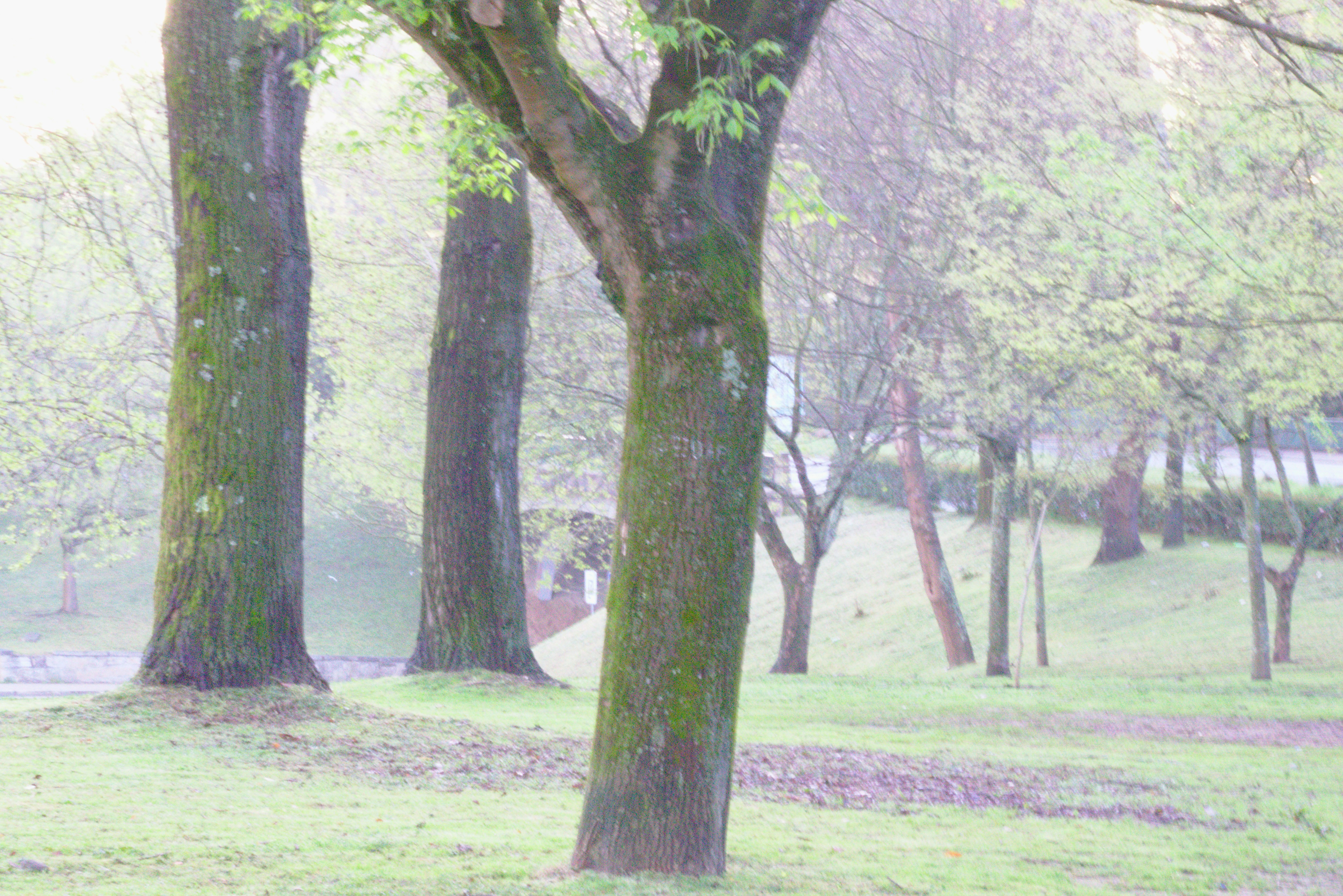 Free Unsplash photo from Joao Figueiredo